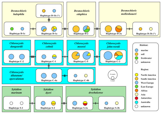 Microorganisms Free Full Text Molecular Phylogeny Of Unicellular Marine Coccoid Green Algae 7743