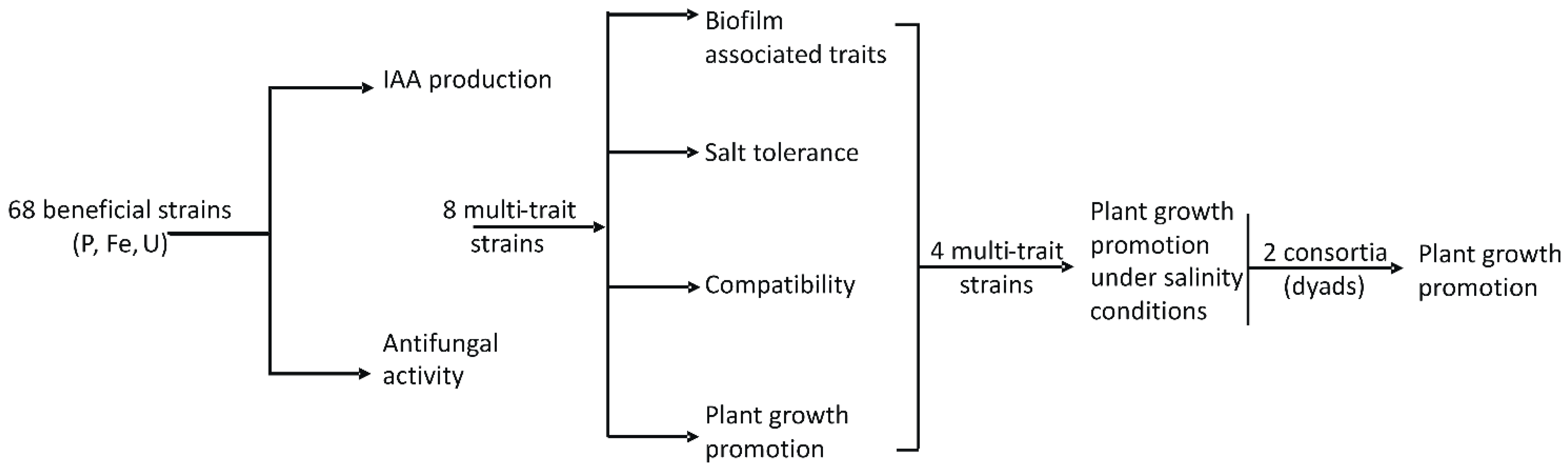 Microorganisms | Free Full-Text | Multi-Trait Wheat Rhizobacteria from ...