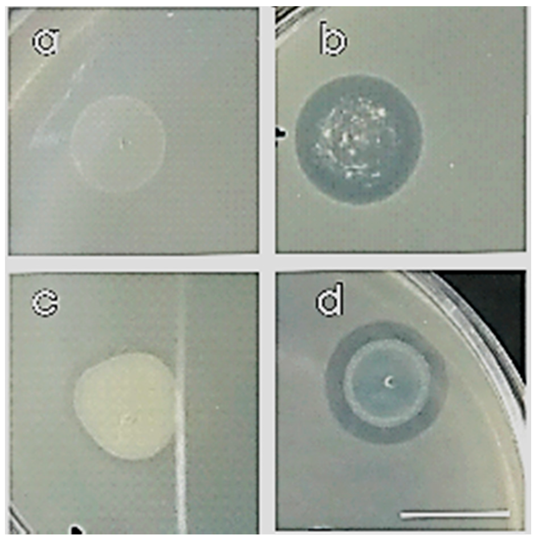 Microorganisms 09 01588 g003