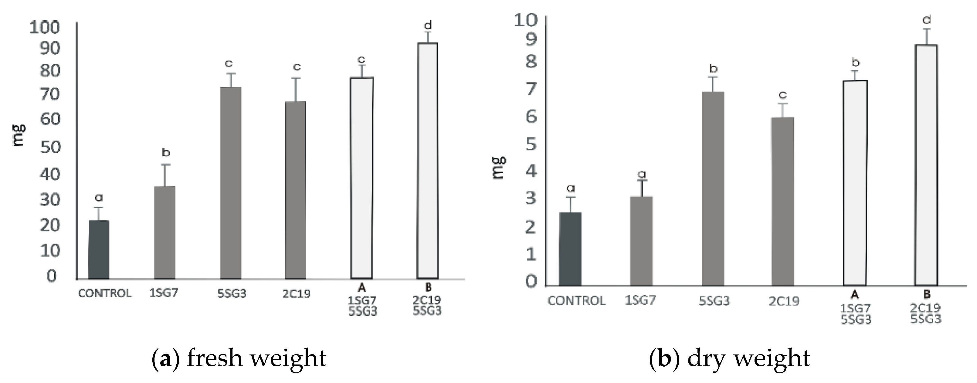 Microorganisms 09 01588 g008a