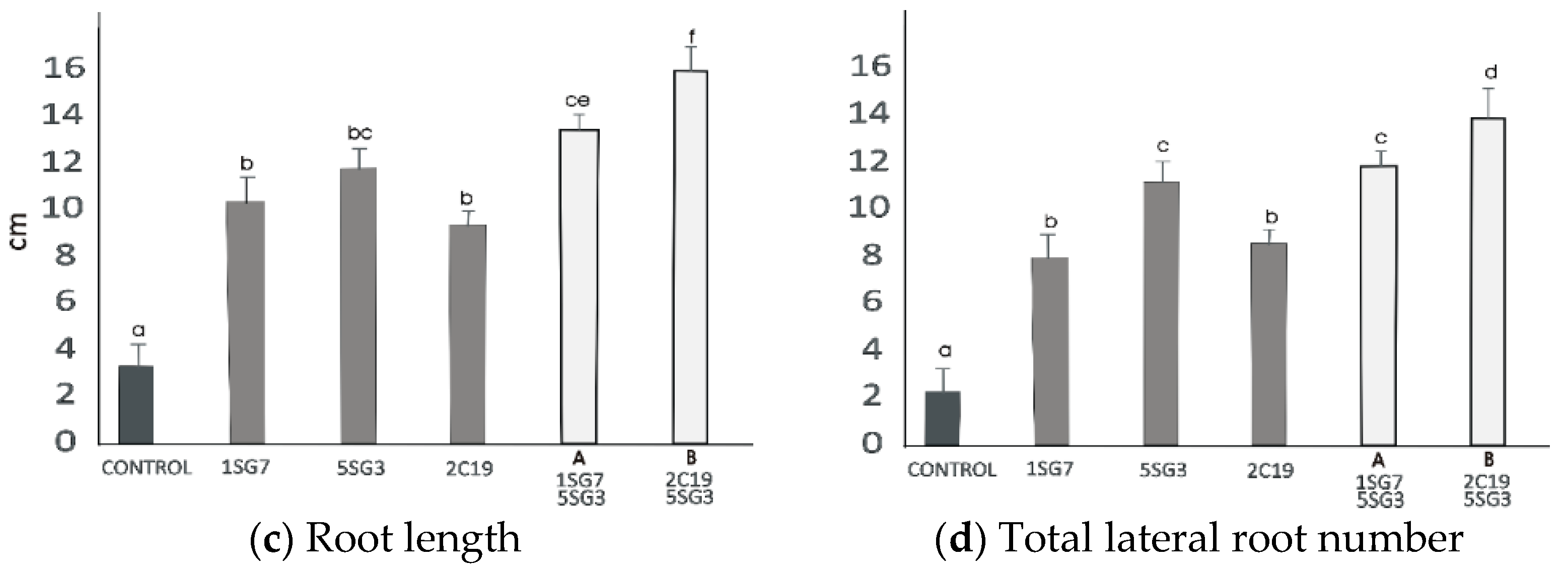 Microorganisms 09 01588 g008b