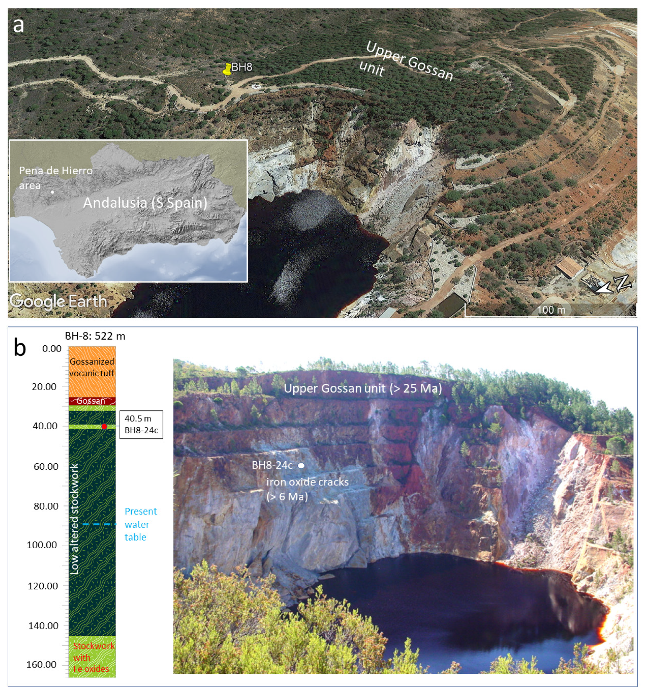 Microorganisms | Free Full-Text | Preservation of Underground Microbial  Diversity in Ancient Subsurface Deposits (&gt;6 Ma) of the Rio Tinto  Basement | HTML