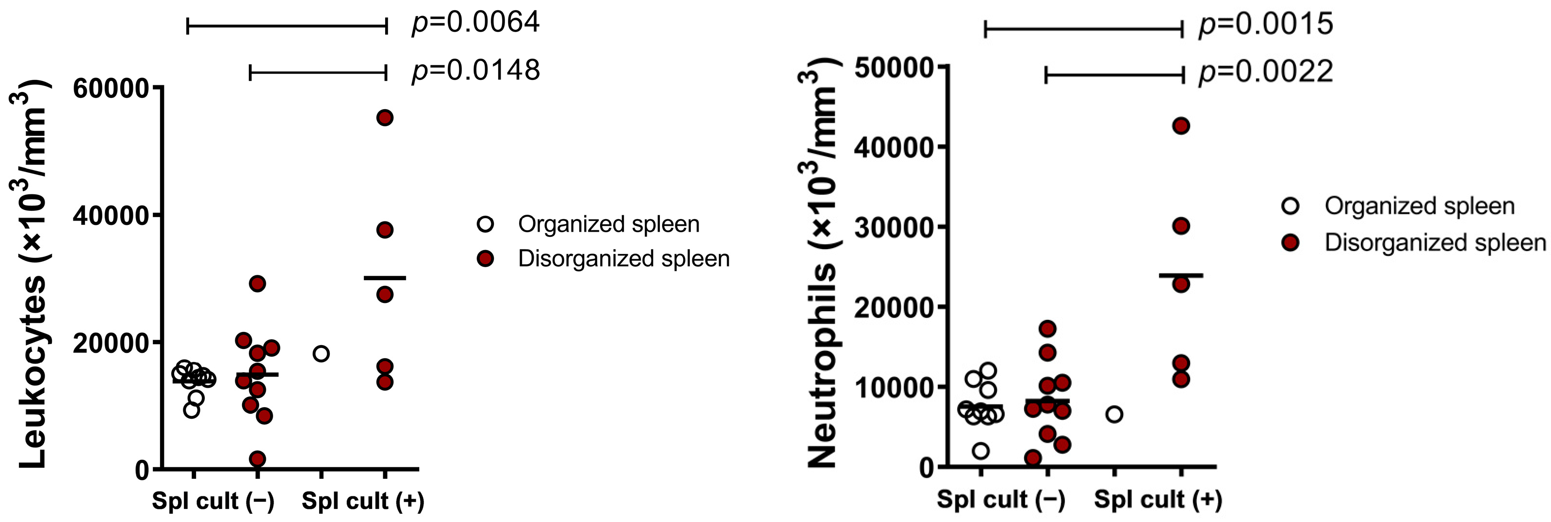 Microorganisms 09 01618 g004 Microorganisms 09 01618 g004