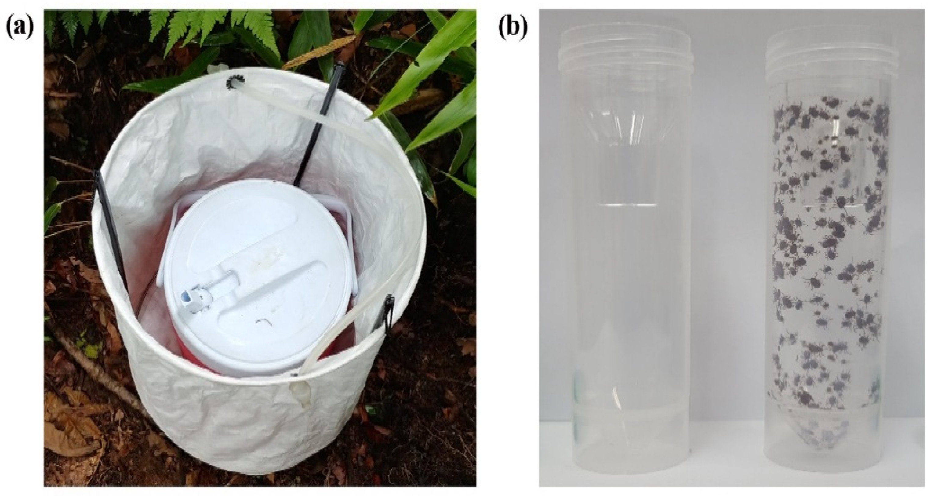 Microorganisms 09 01630 g002