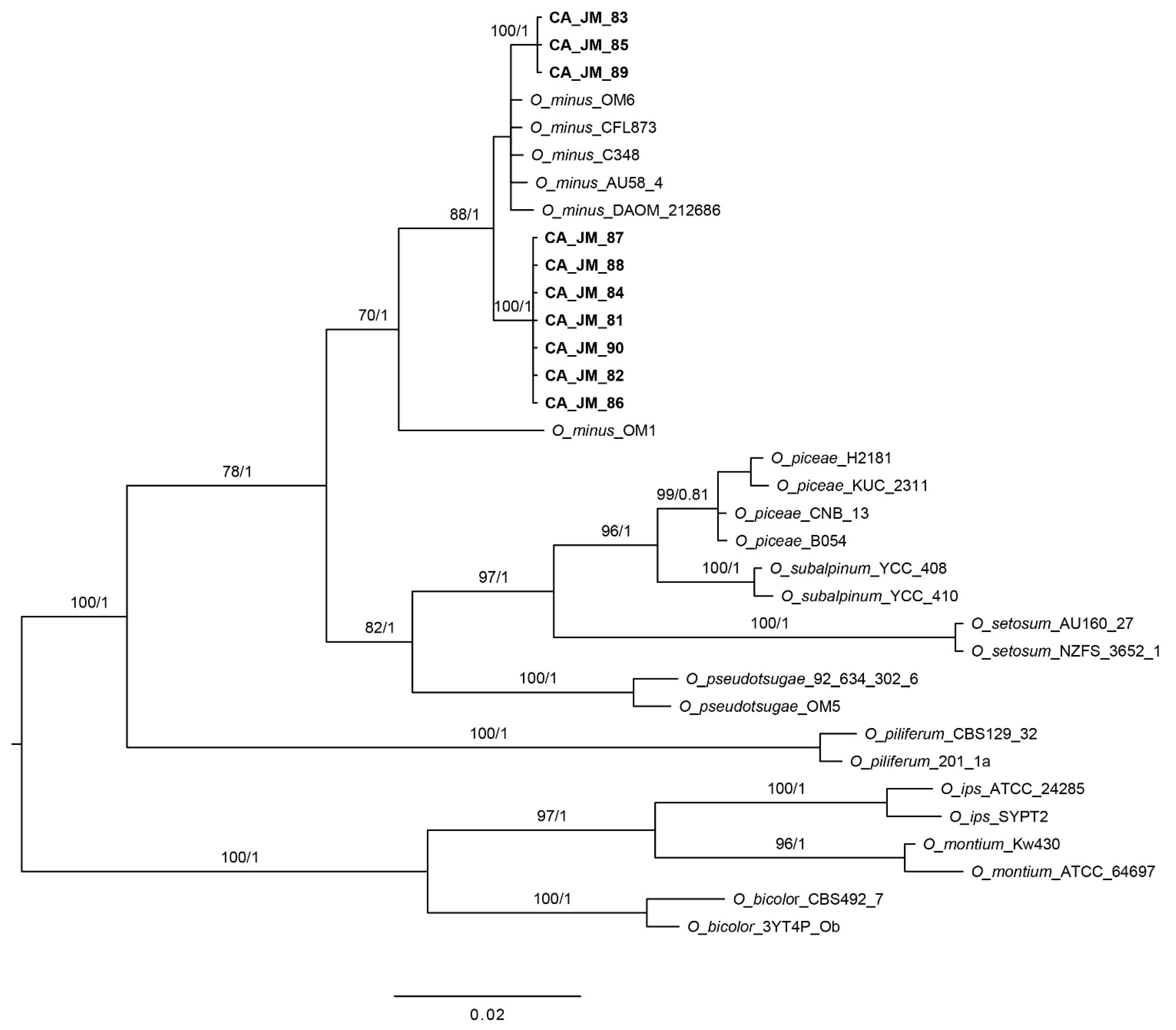 Microorganisms 09 01641 g002 Microorganisms 09 01641 g002