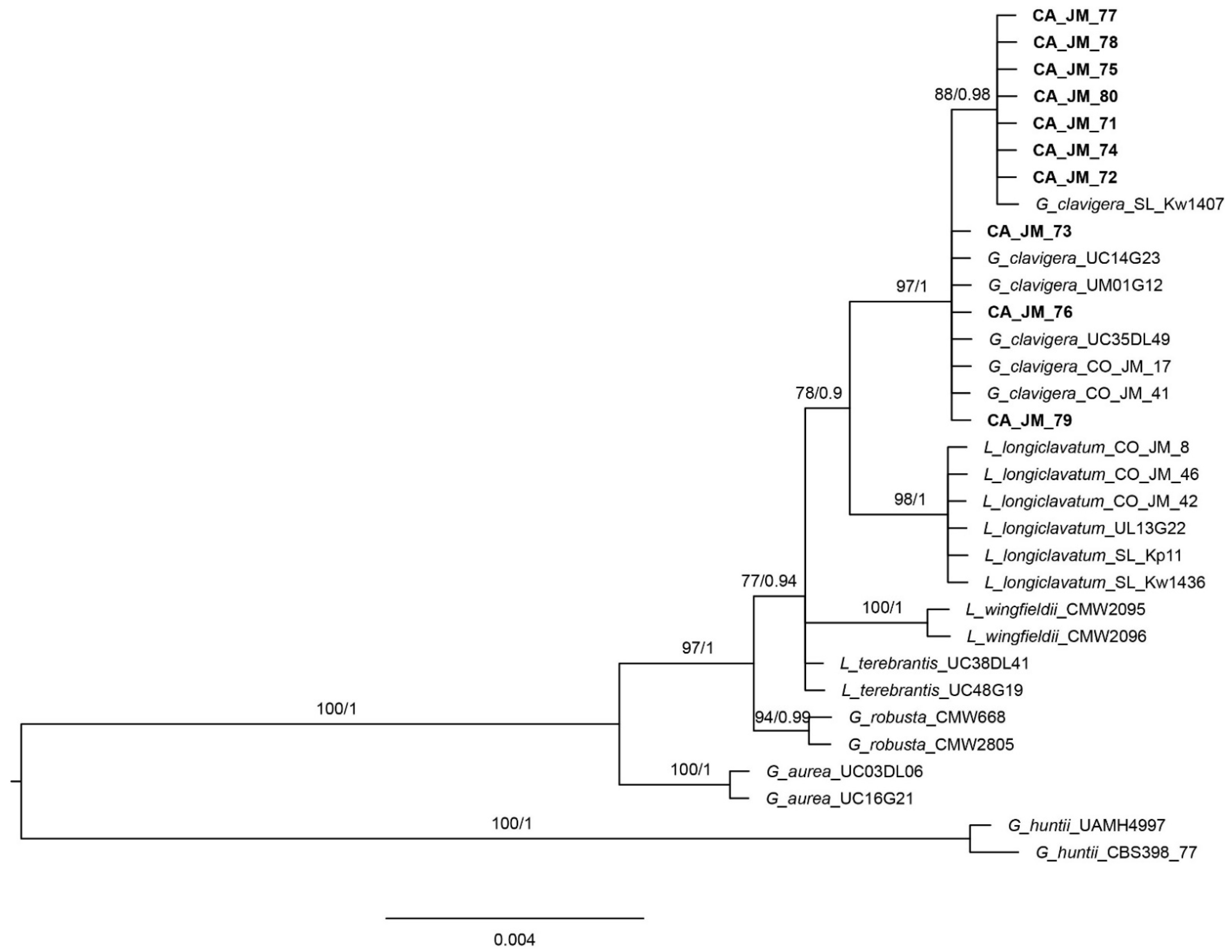 Microorganisms 09 01641 g003 Microorganisms 09 01641 g003