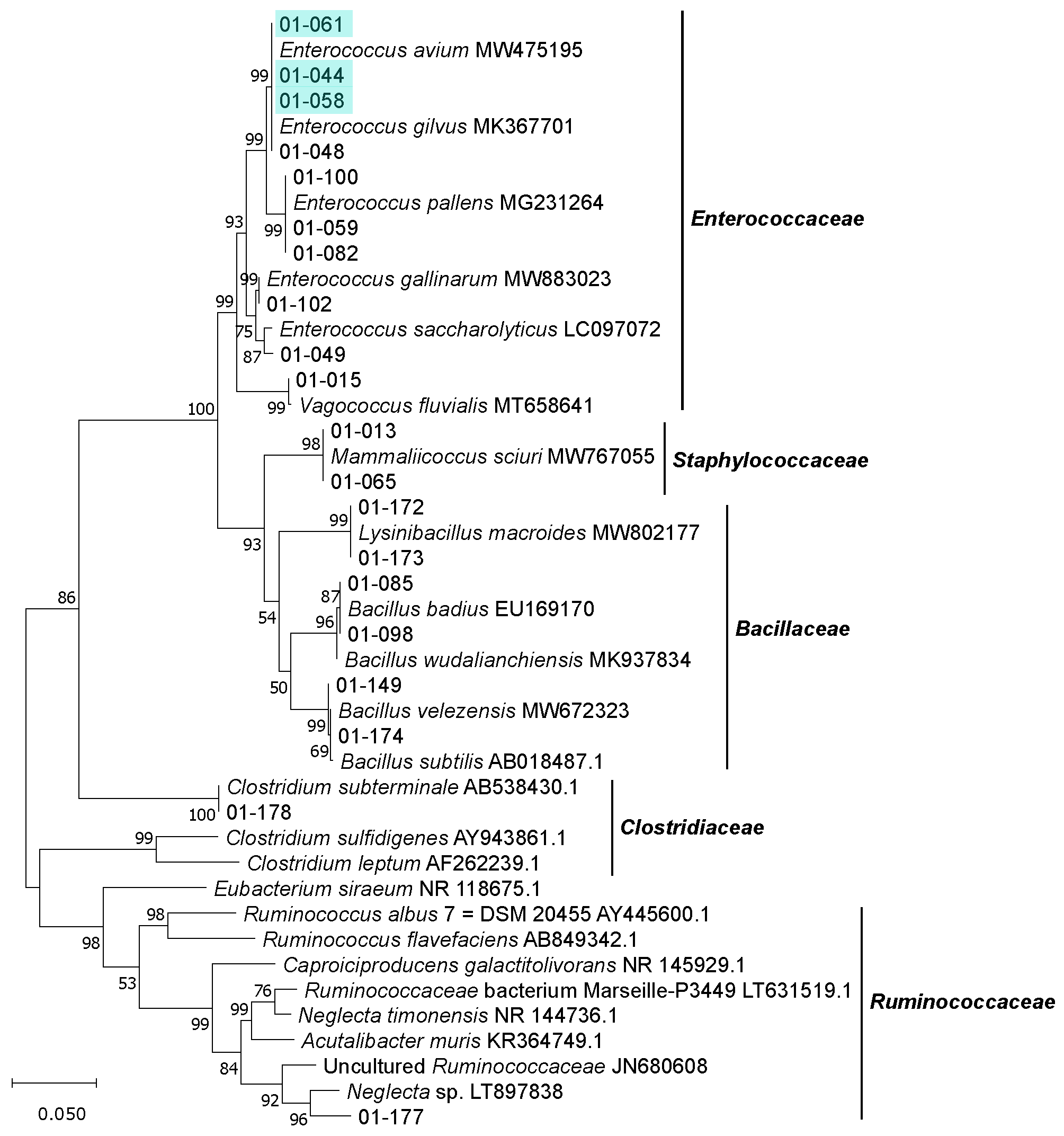 Microorganisms 09 01642 g006