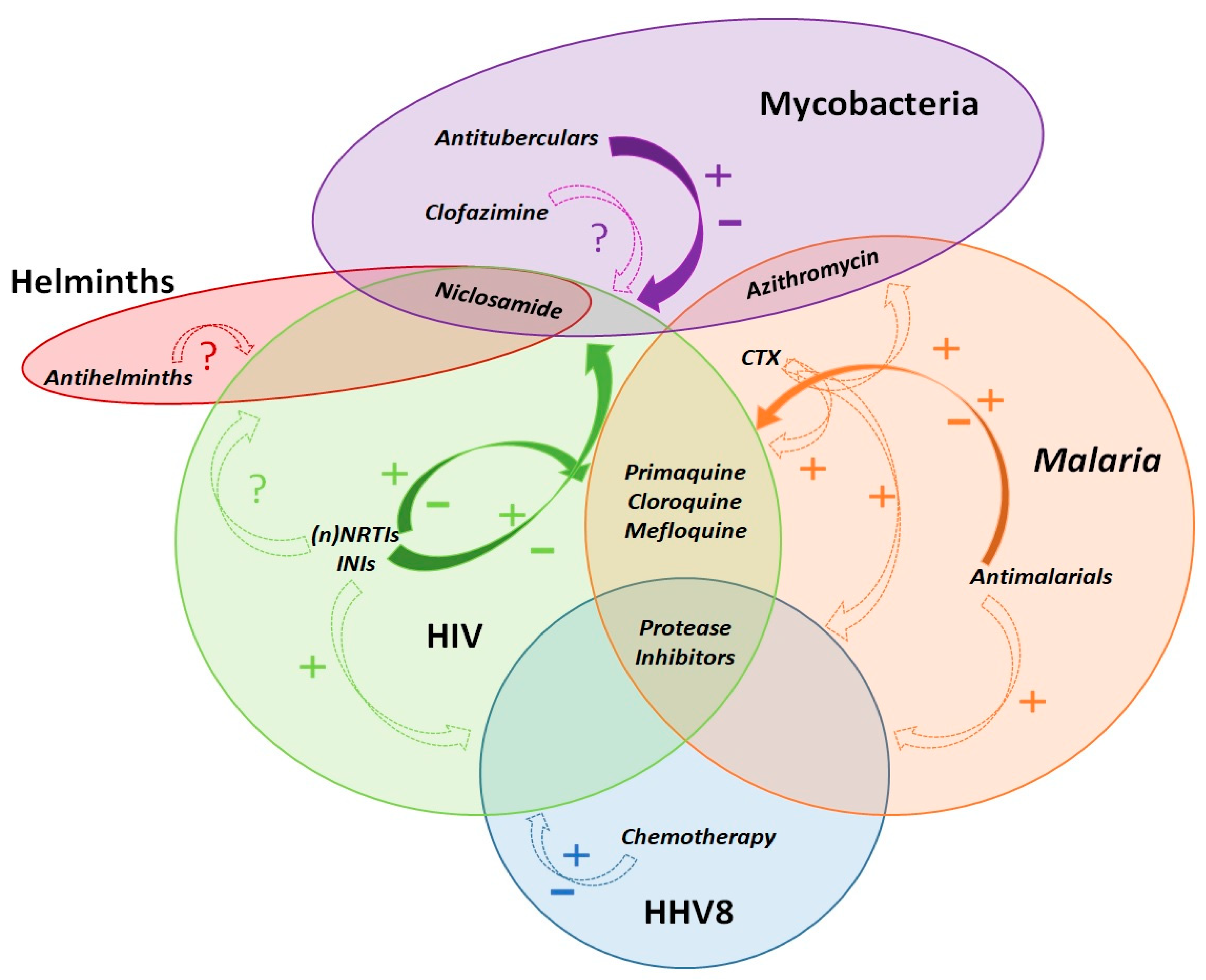 Microorganisms 09 01648 g005