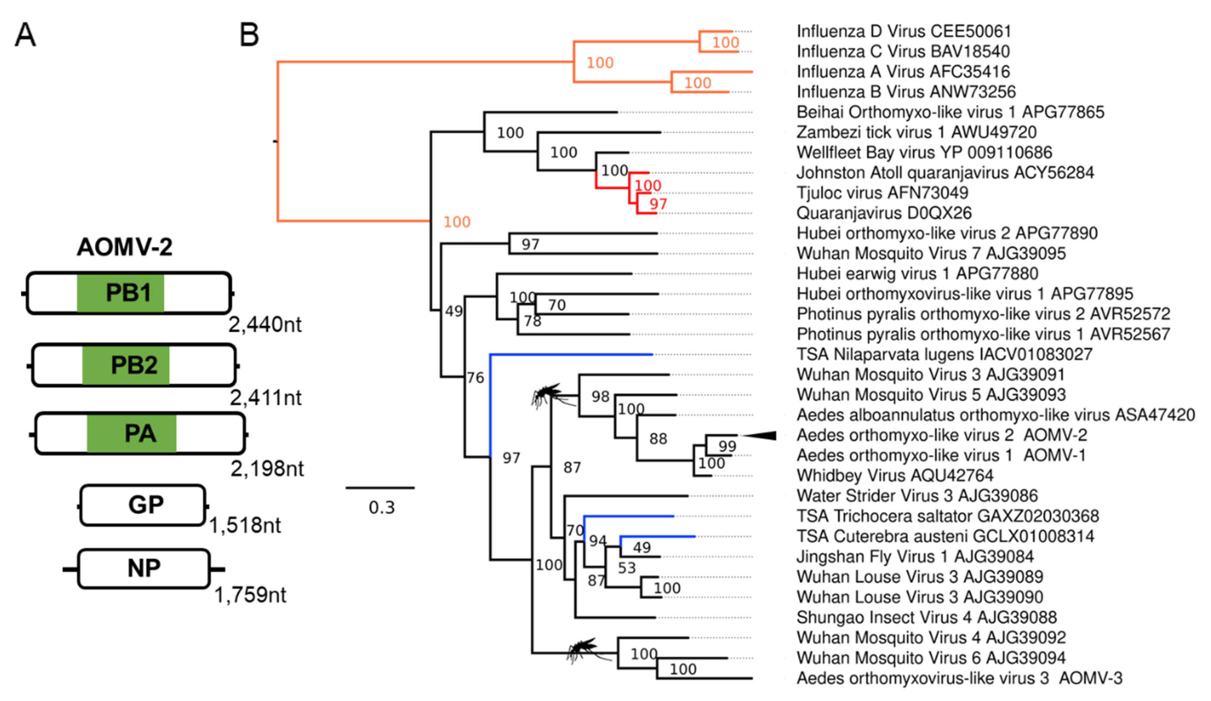 Microorganisms 09 01653 g003 Microorganisms 09 01653 g003
