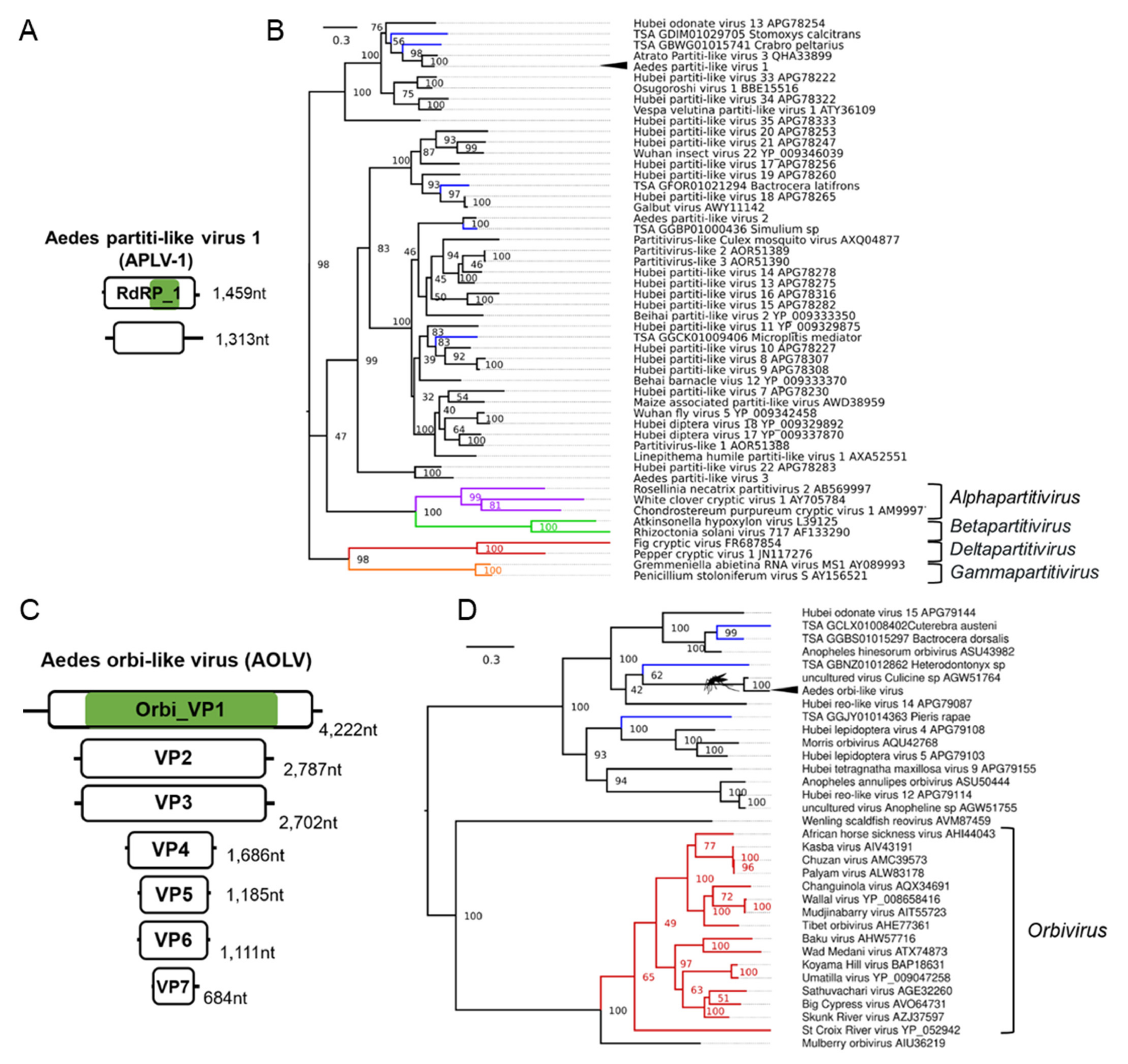 Microorganisms 09 01653 g006 Microorganisms 09 01653 g006