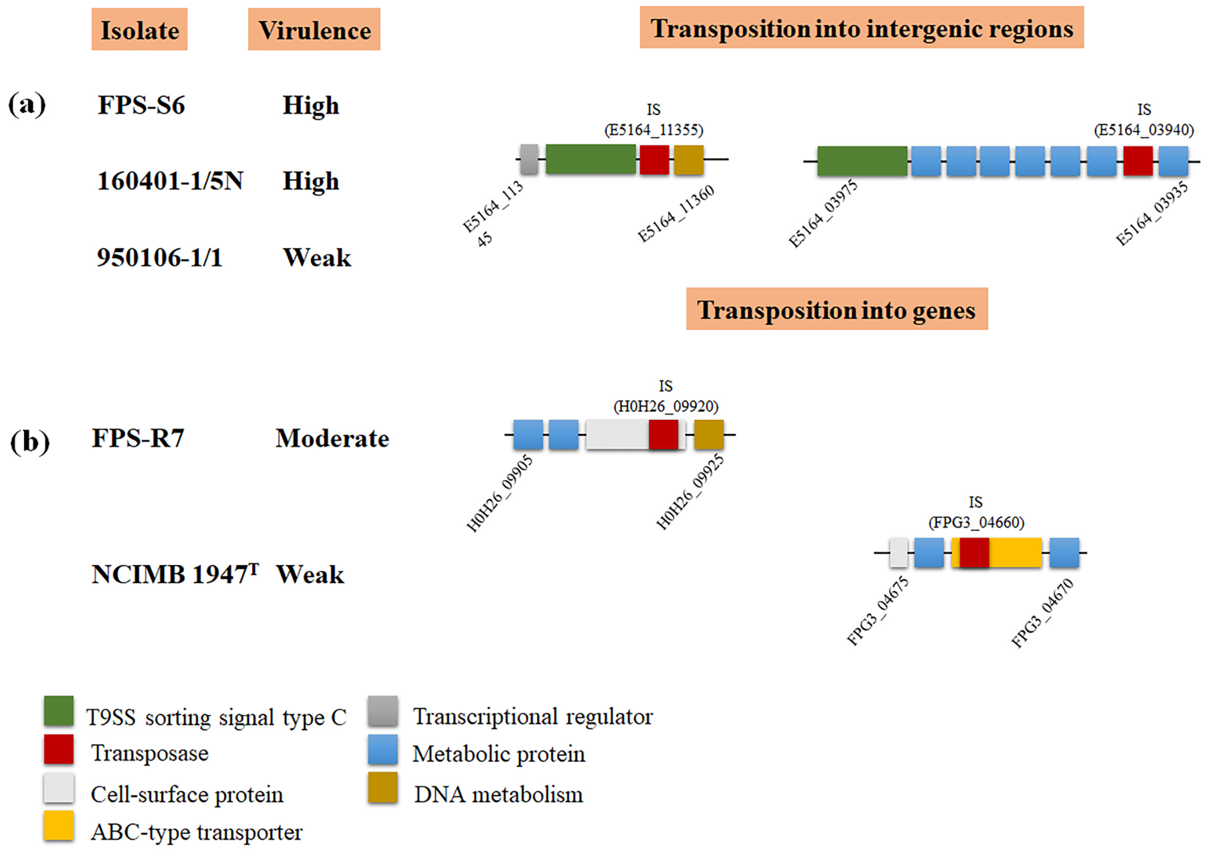 Microorganisms 09 01658 g005