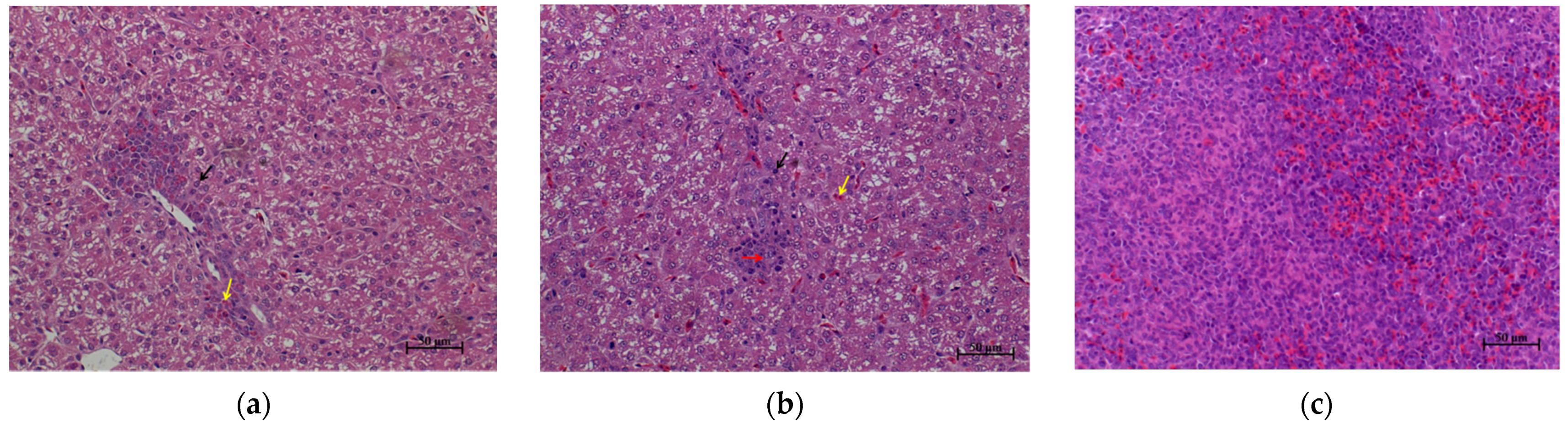 Microorganisms 09 01705 g001a