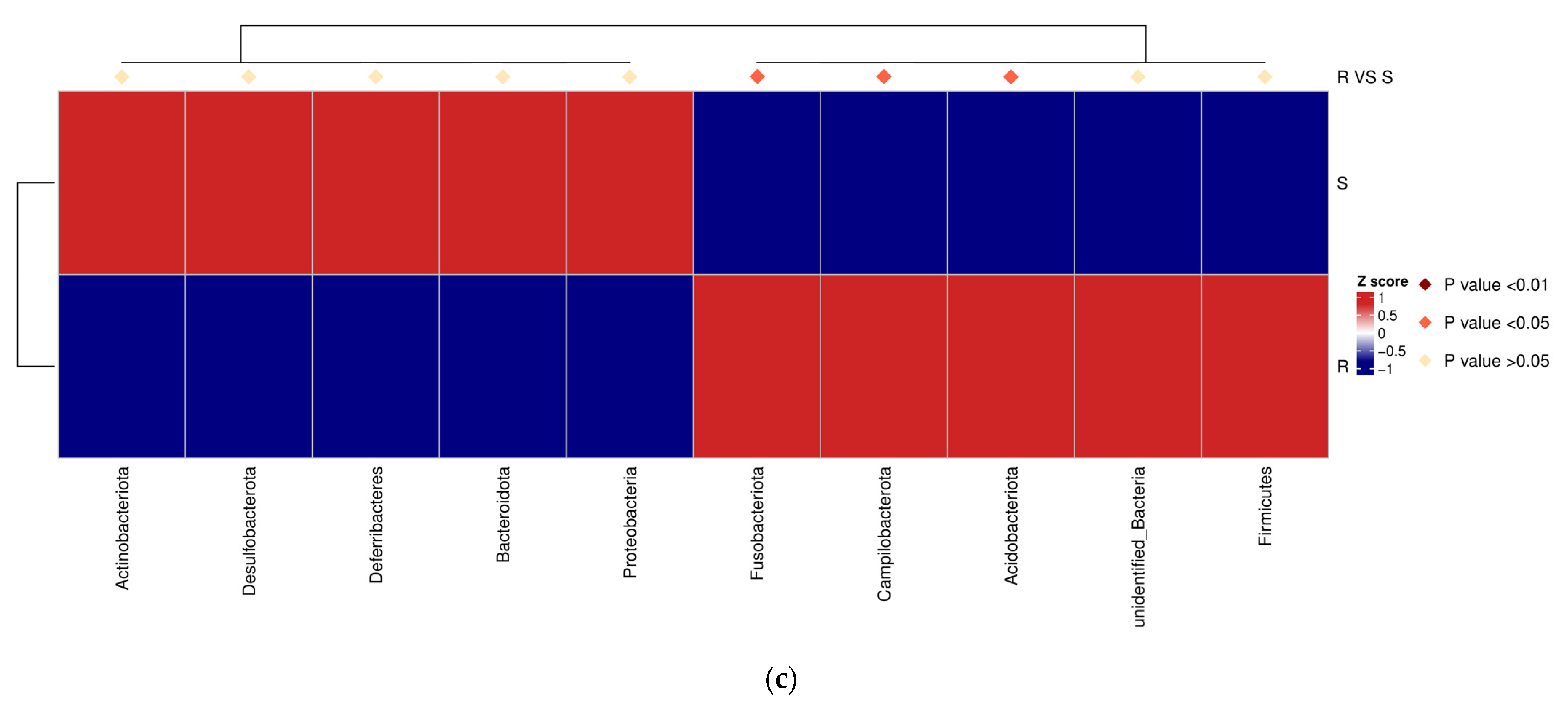 Microorganisms 09 01705 g004b