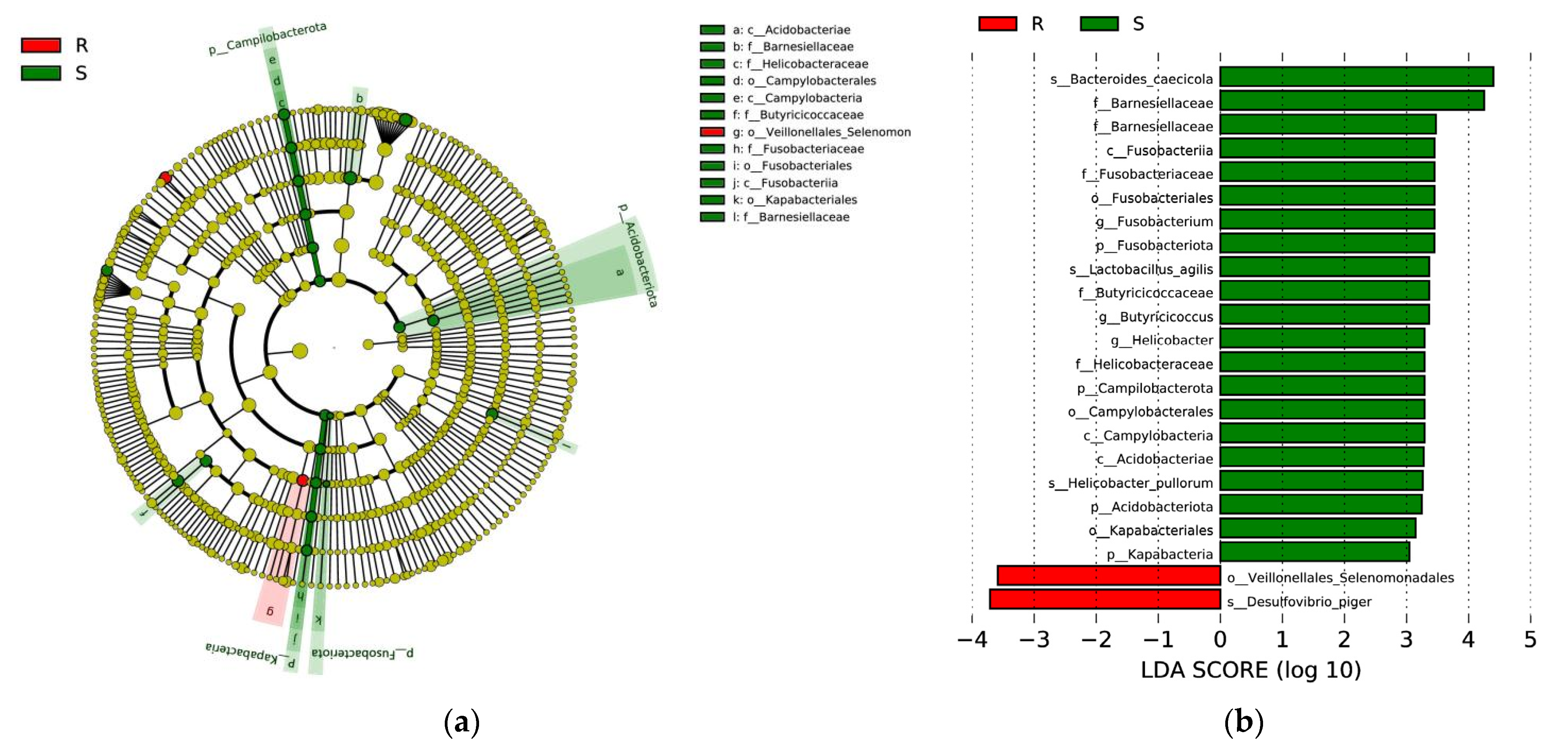Microorganisms 09 01705 g005