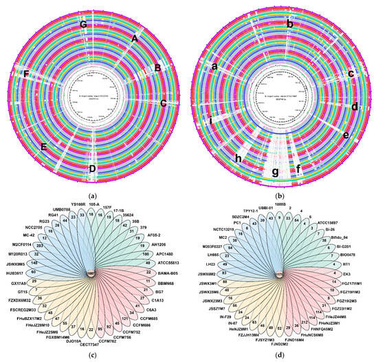 Microorganisms | Free Full-Text | Comparative Genomics Analyses Reveal ...