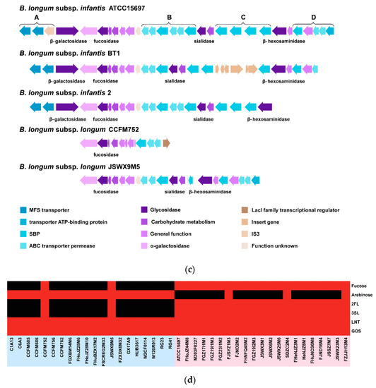 Microorganisms | Free Full-Text | Comparative Genomics Analyses Reveal ...