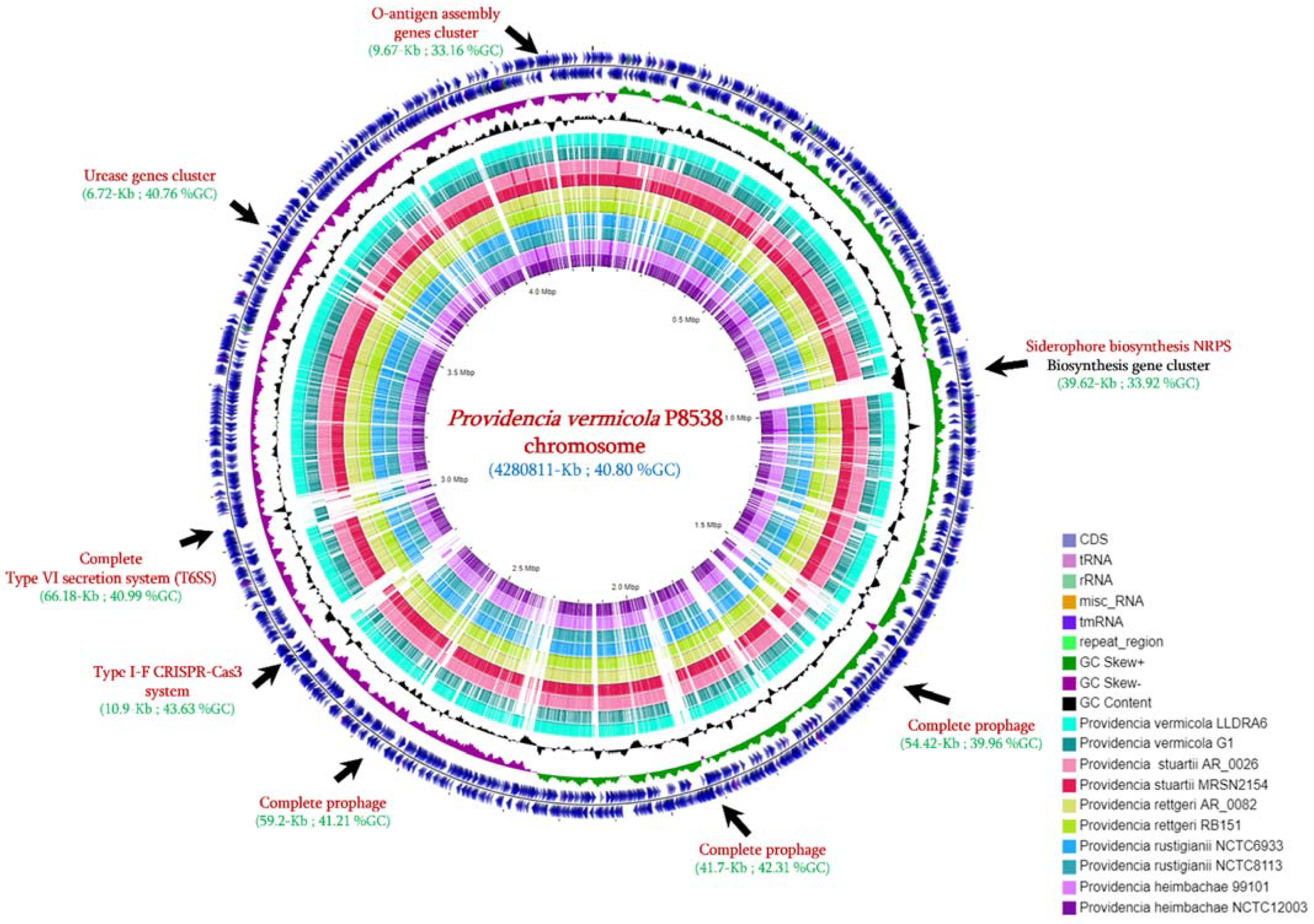 Microorganisms Free Full Text First Genome Description Of Providencia Vermicola Isolate Bearing Ndm 1 From Blood Culture Html