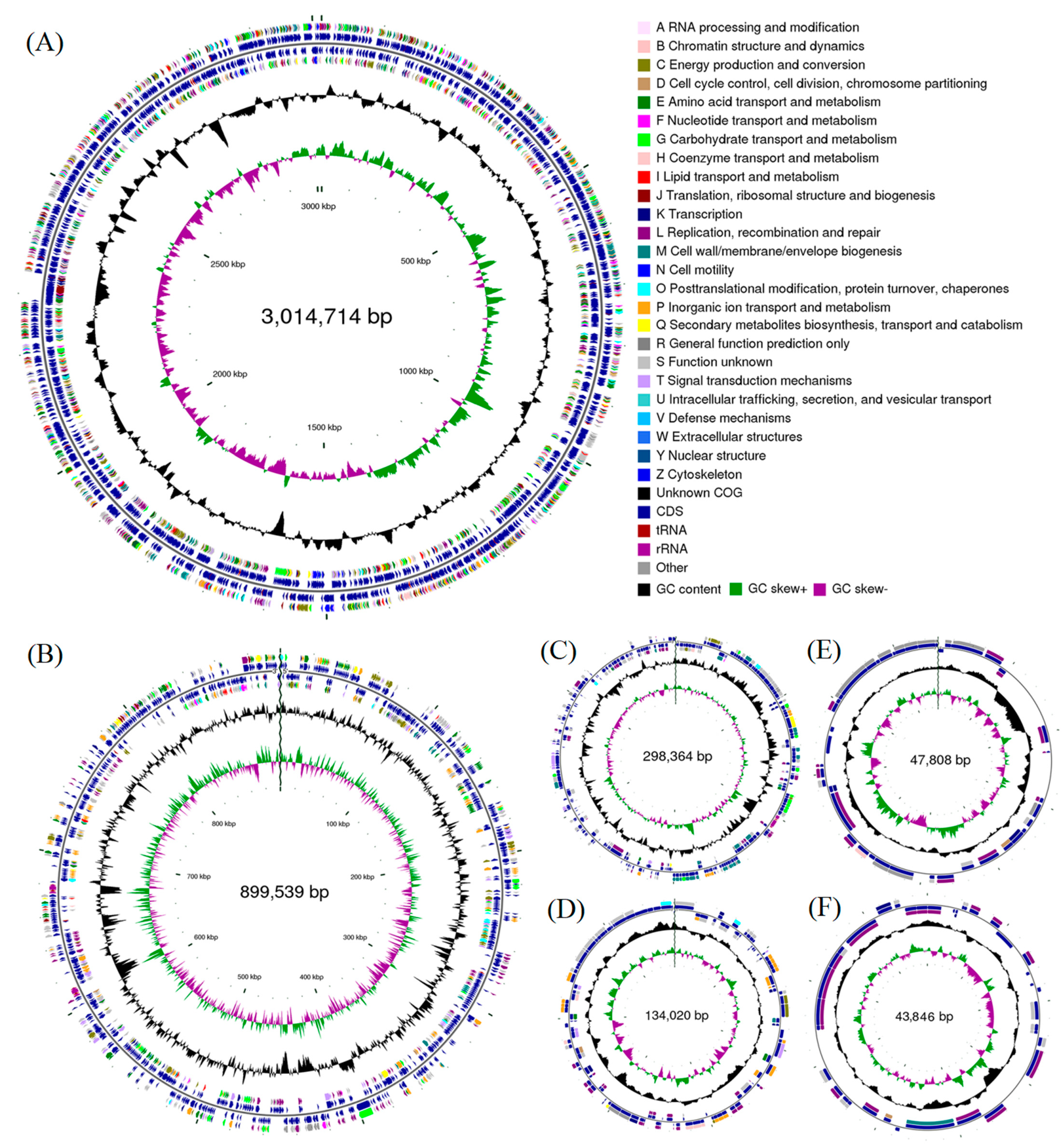 Microorganisms 09 01754 g001
