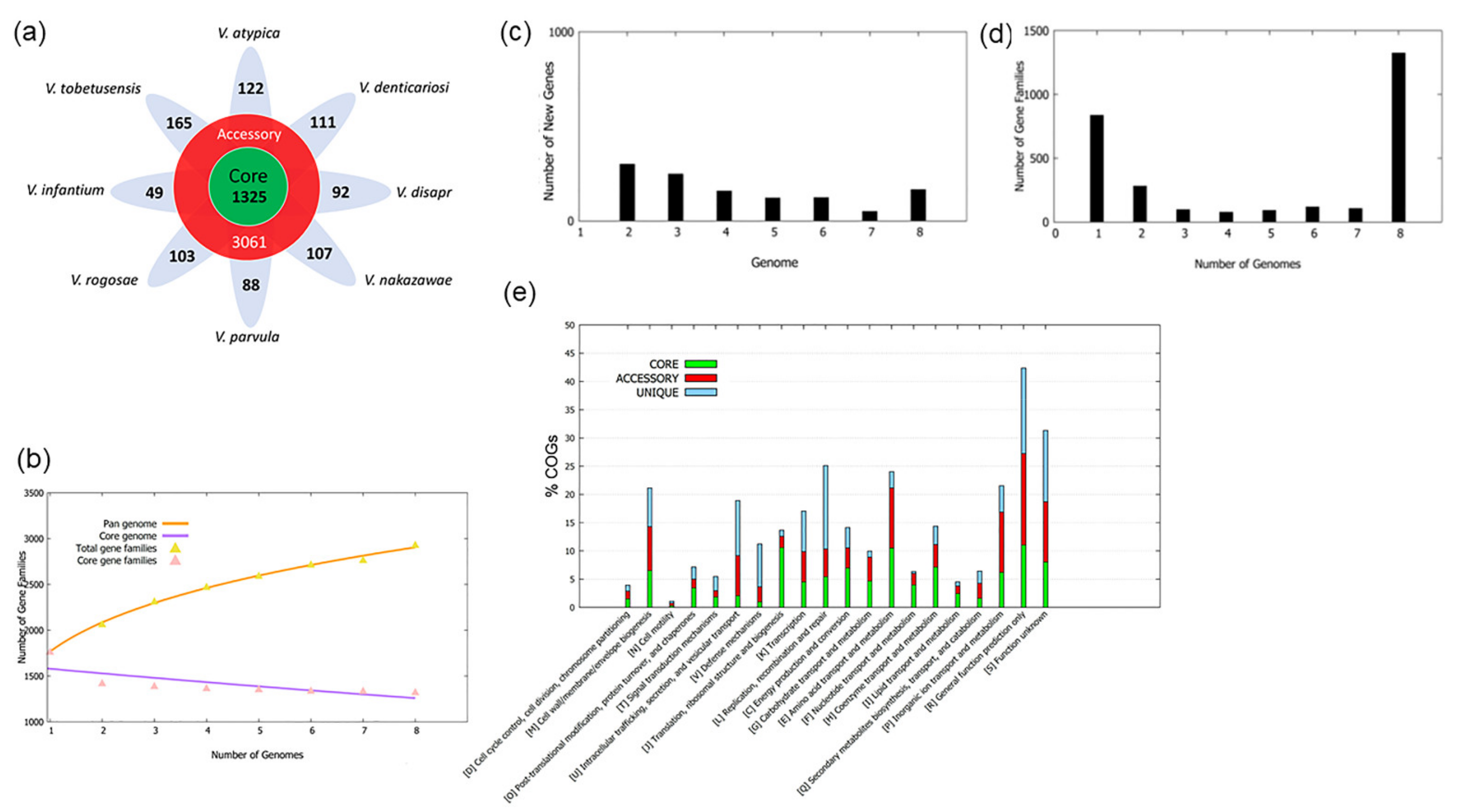 Microorganisms Free Full Text Comparative Pan Genome Analysis Of Oral Veillonella Species Html