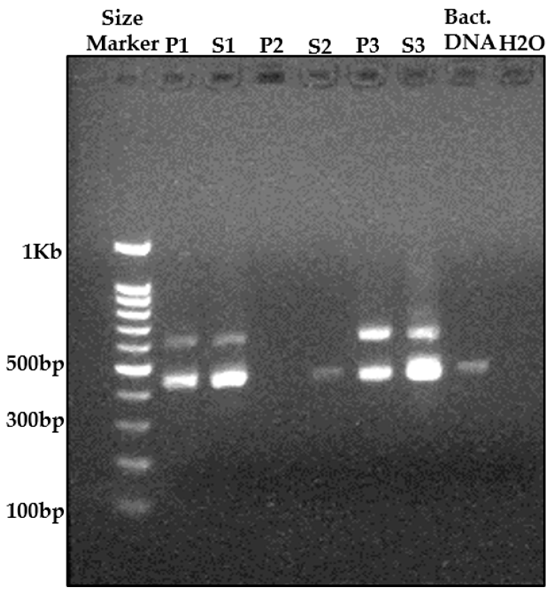 Microorganisms 09 01785 g001