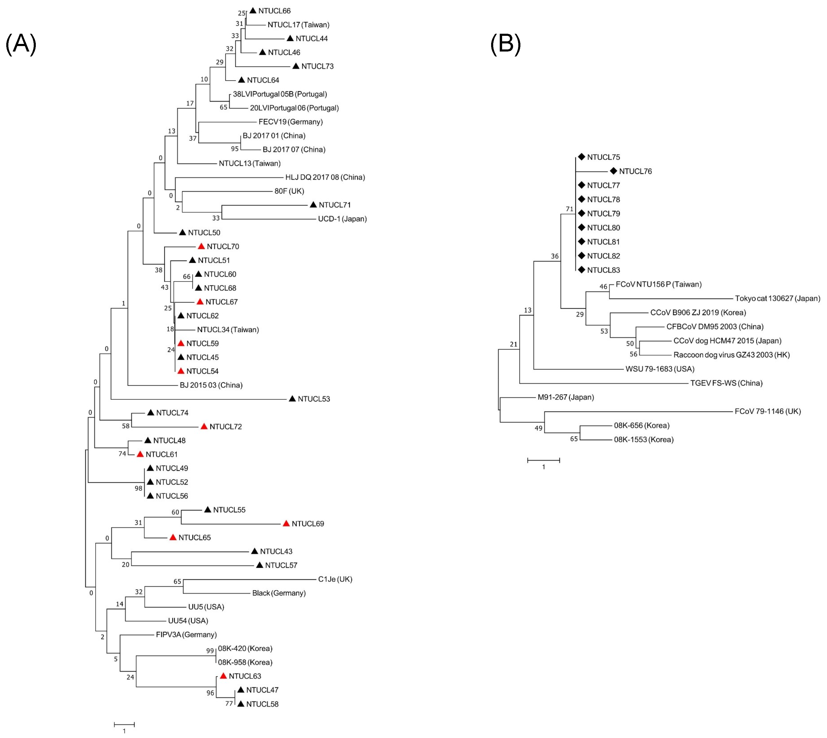 Microorganisms 09 01801 g004