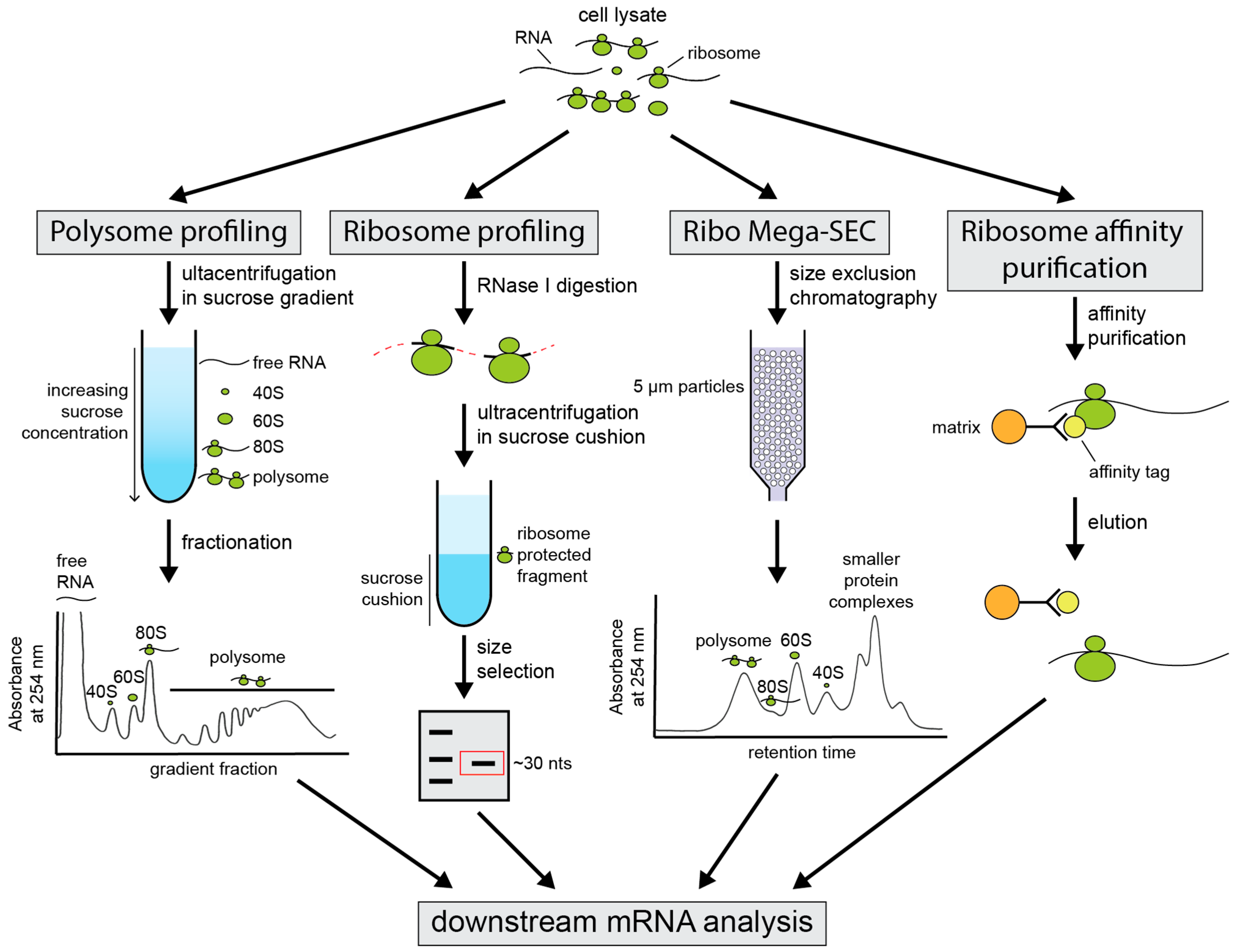 Microorganisms 09 01885 g002