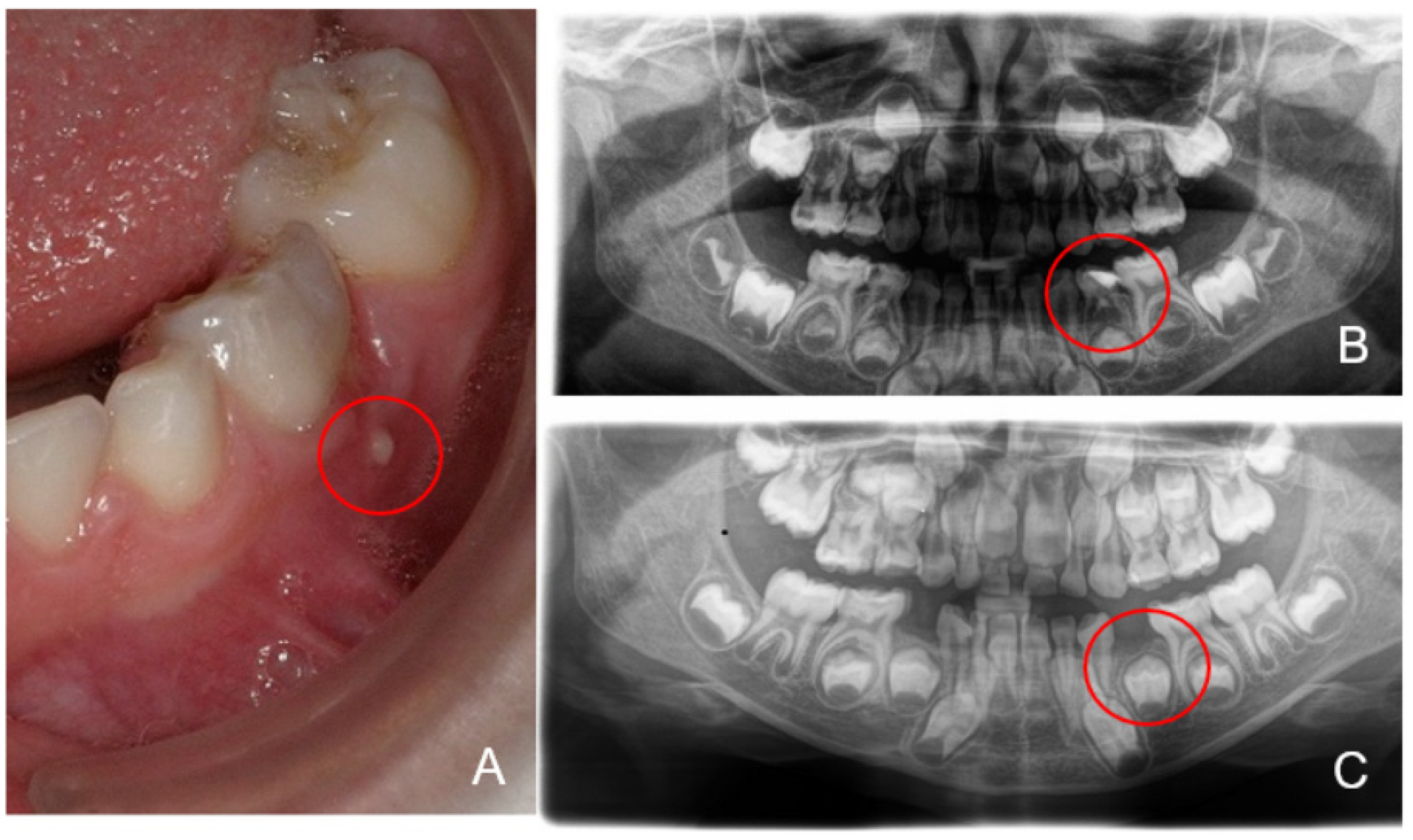 Microorganisms 09 01904 g002 Microorganisms 09 01904 g002