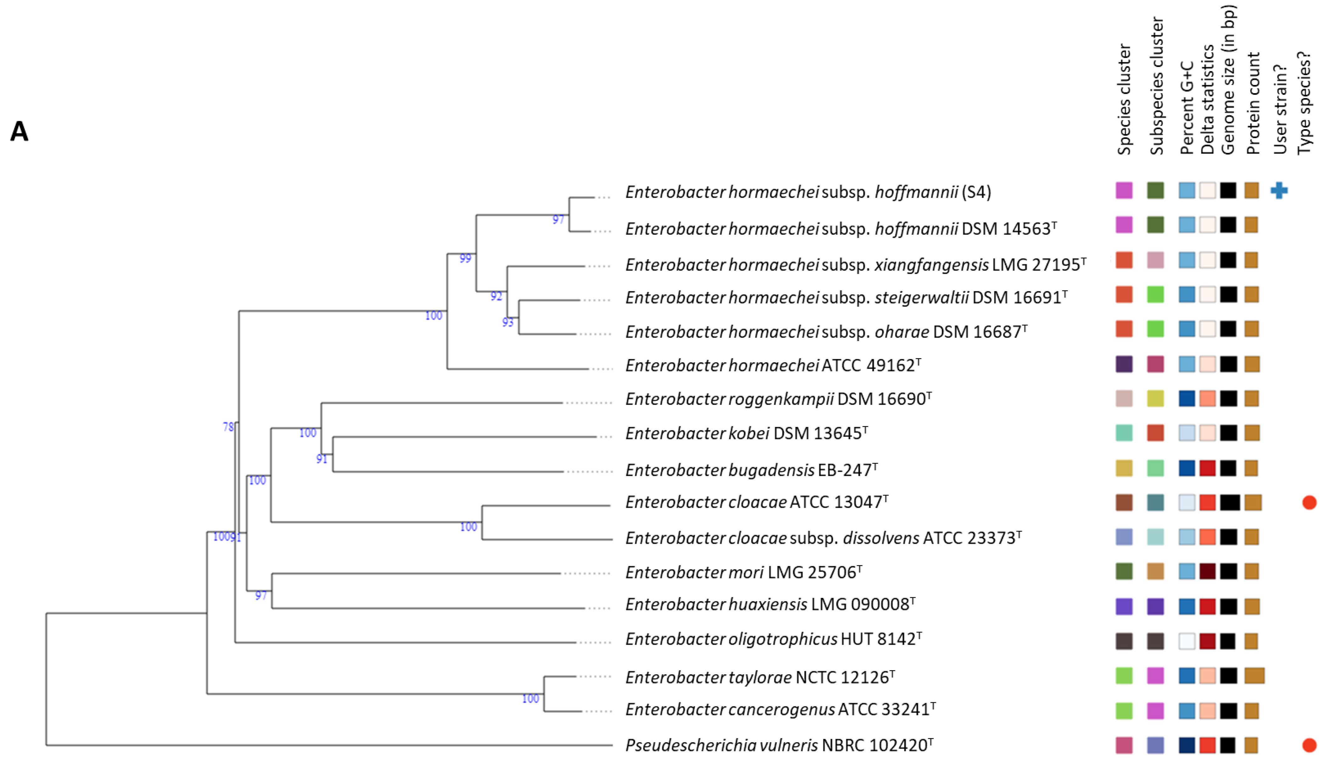 Microorganisms | Free Full-Text | Whole Genome Sequencing Based Taxonomic  Classification, and Comparative Genomic Analysis of Potentially Human  Pathogenic Enterobacter spp. Isolated from Chlorinated Wastewater in the  North West Province, South Africa