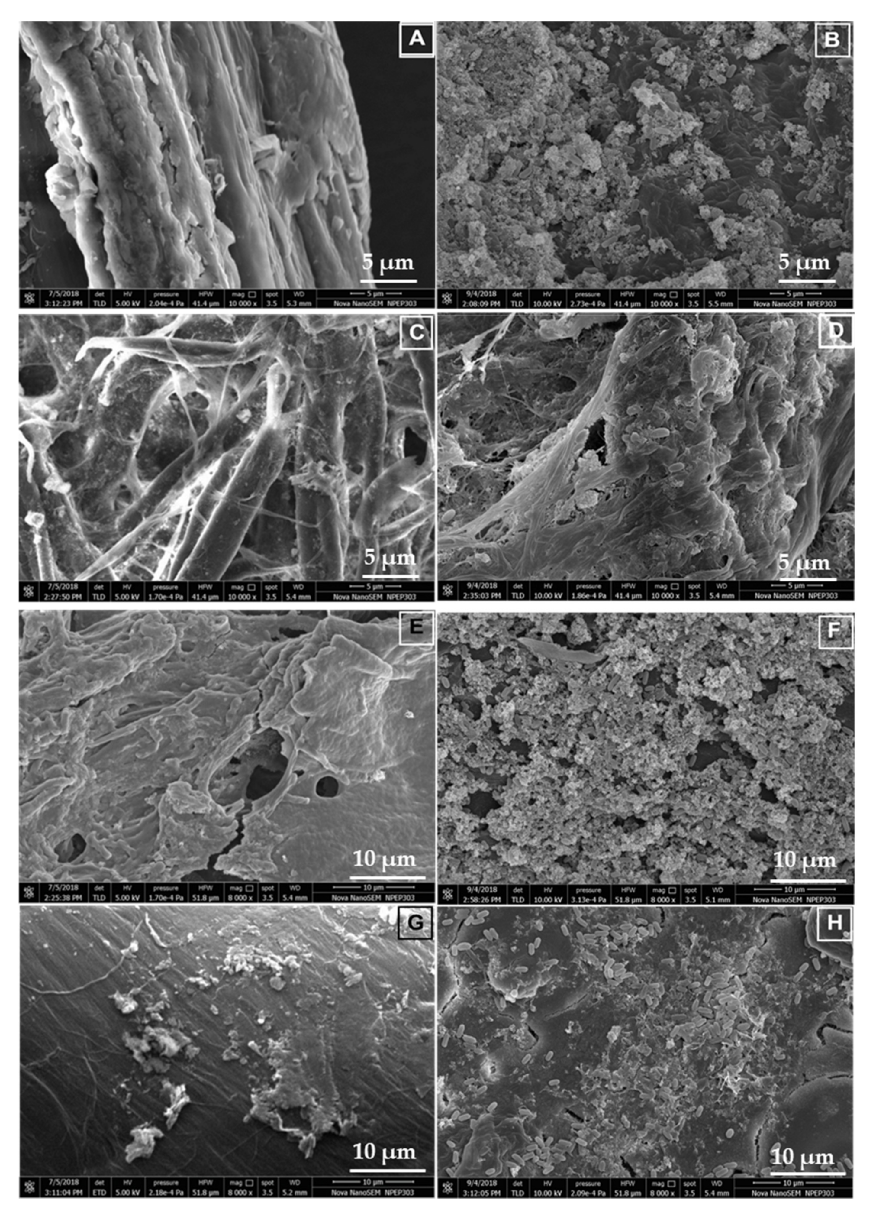 Microorganisms 09 01952 g007 Microorganisms 09 01952 g007
