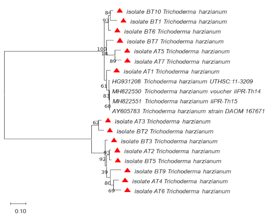 Microorganisms 09 01962 g002