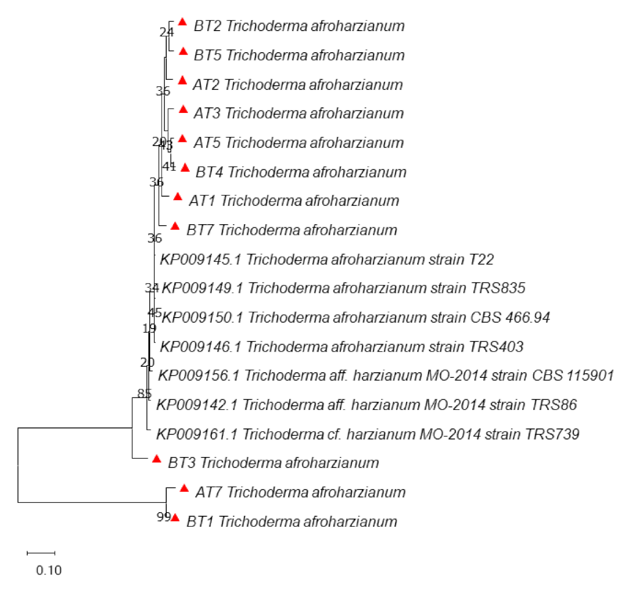 Microorganisms 09 01962 g003