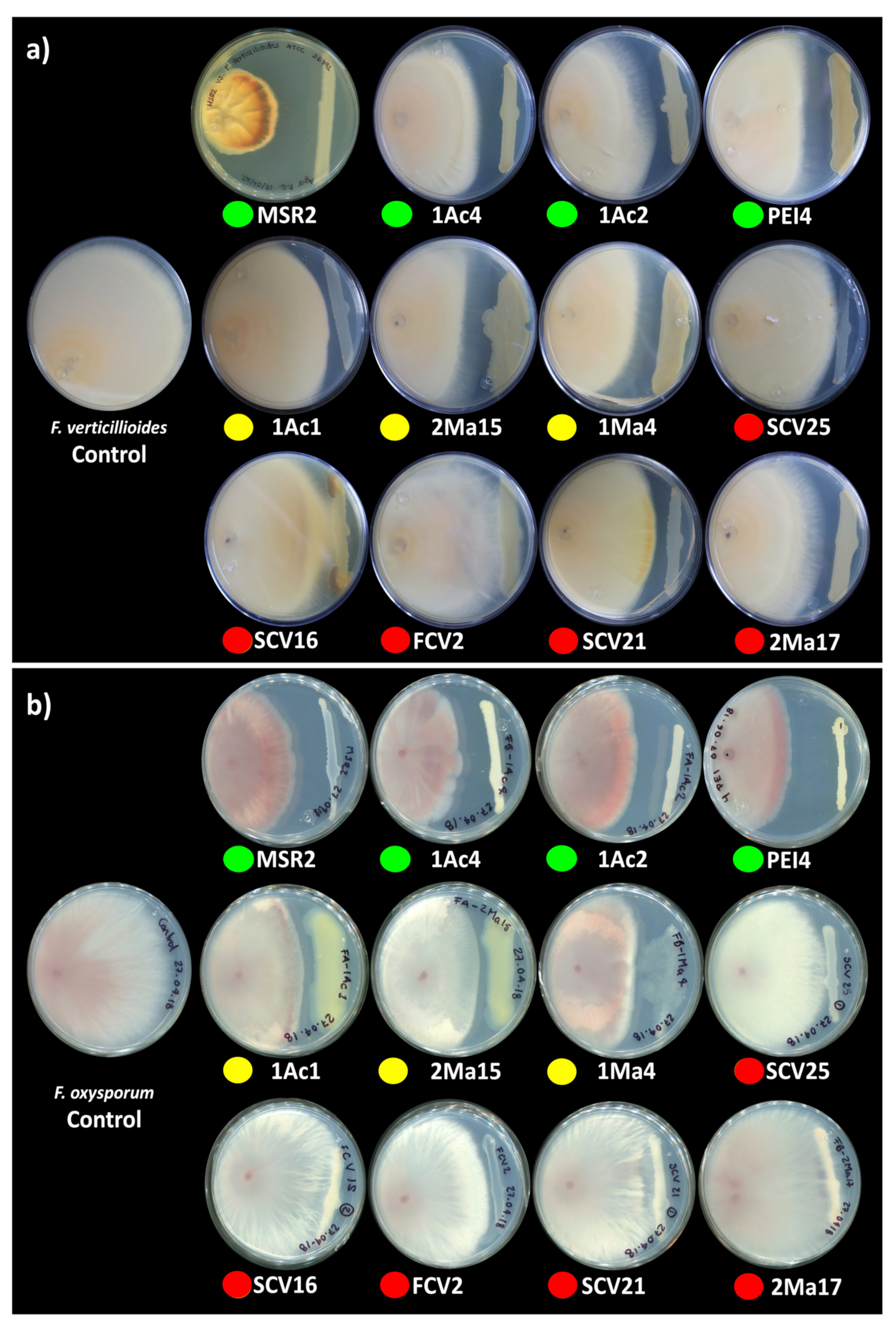 Microorganisms 09 02061 g002