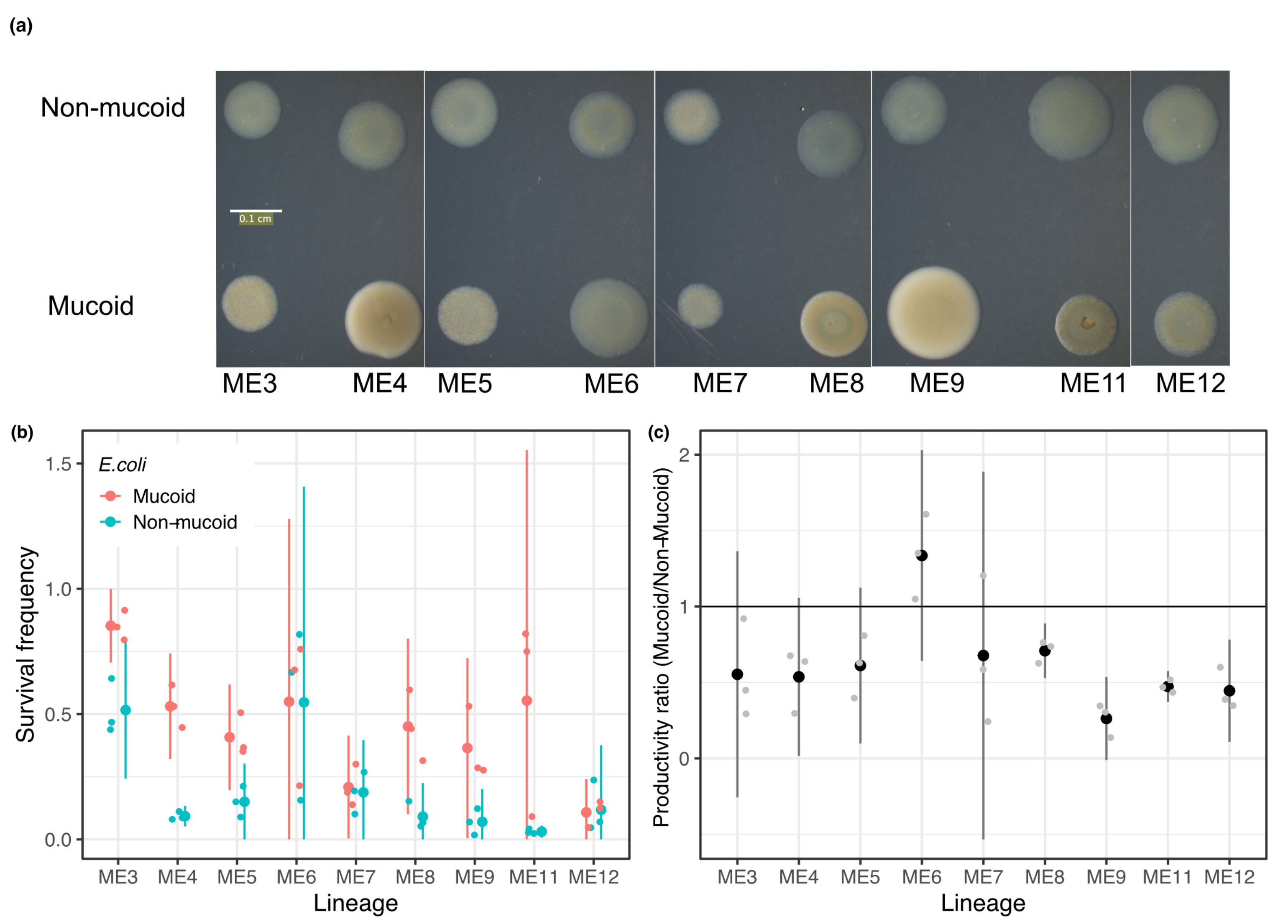 Microorganisms 09 02079 g005