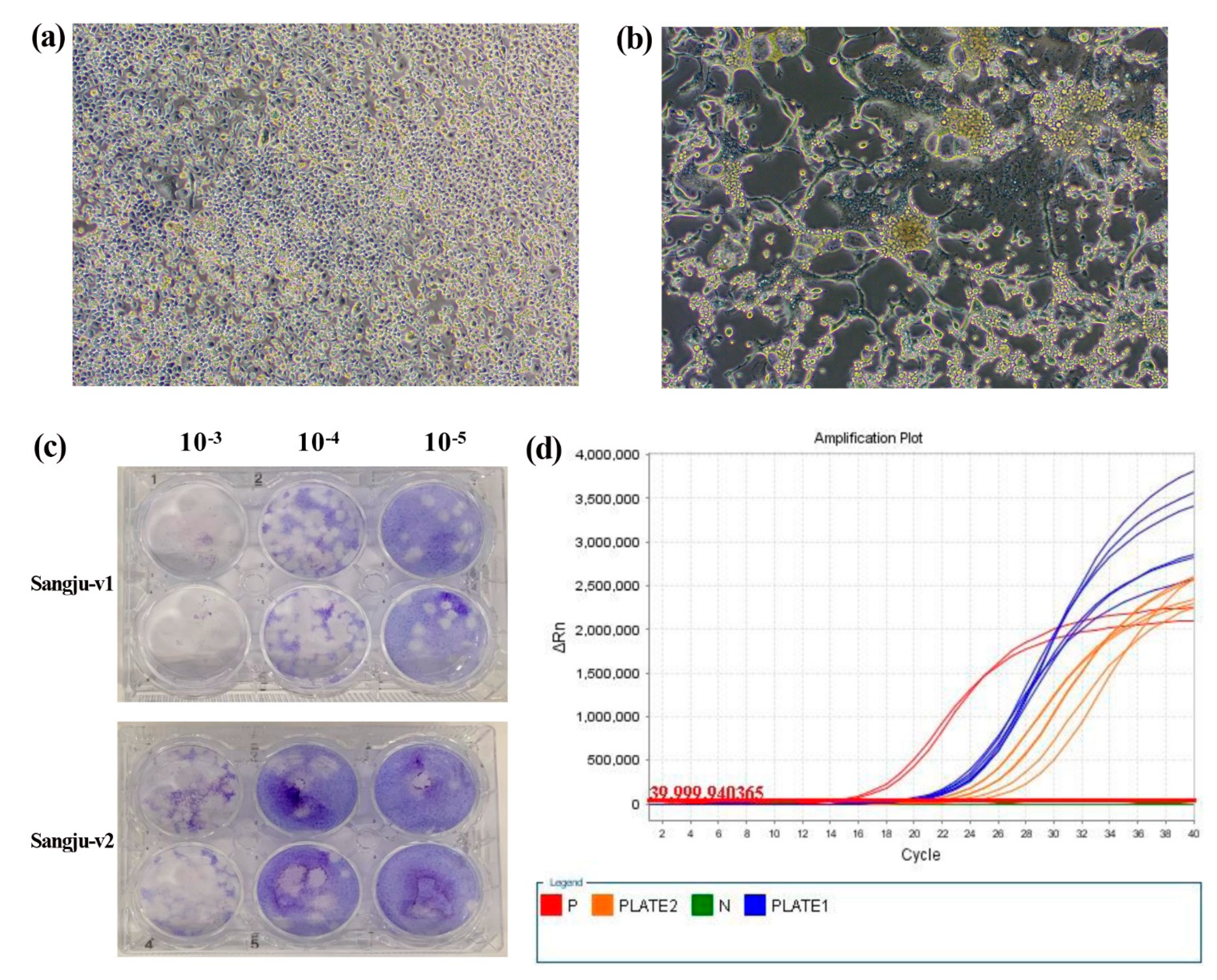 Microorganisms 09 02085 g004