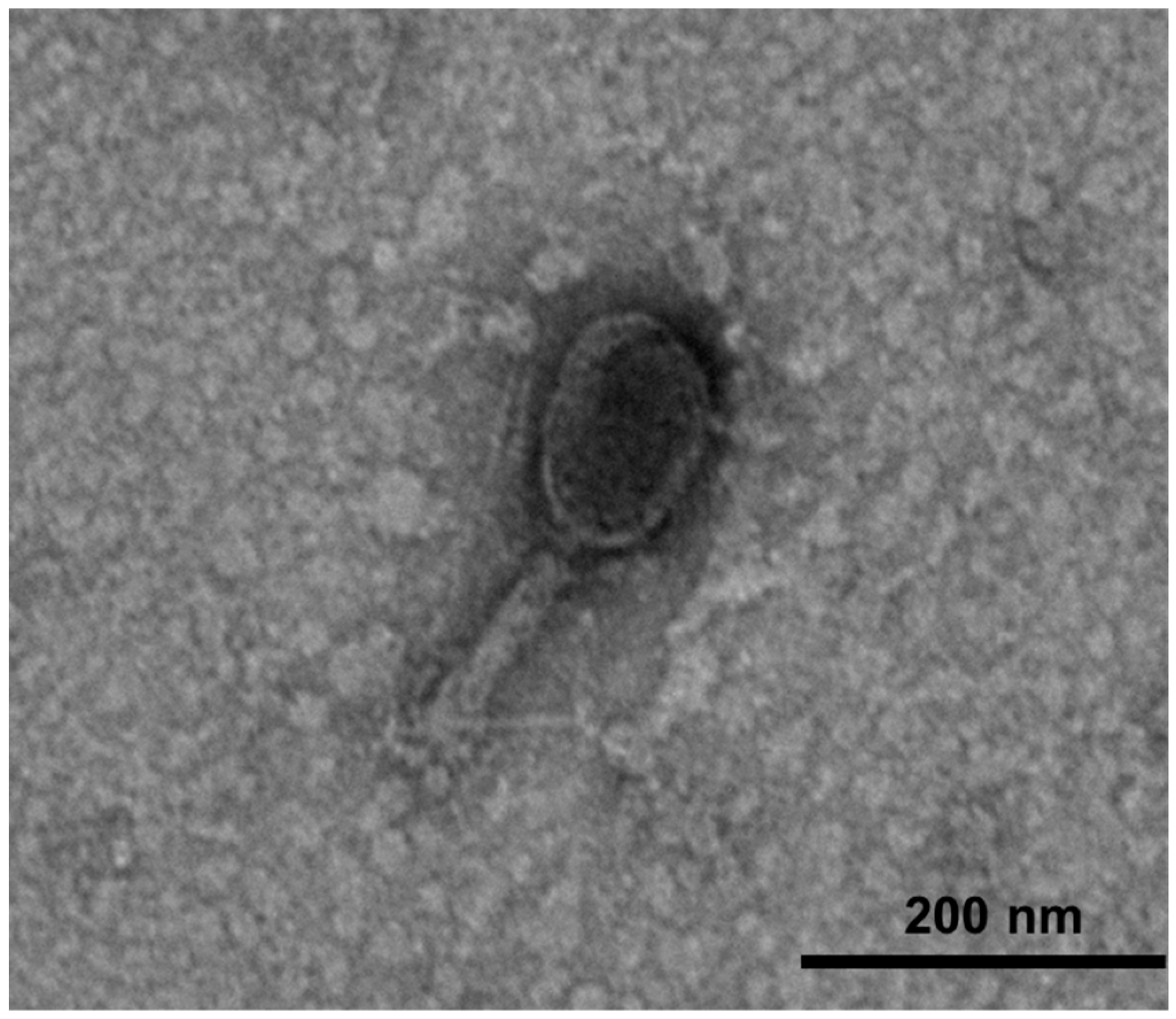 Microorganisms 09 02105 g001 Microorganisms 09 02105 g001