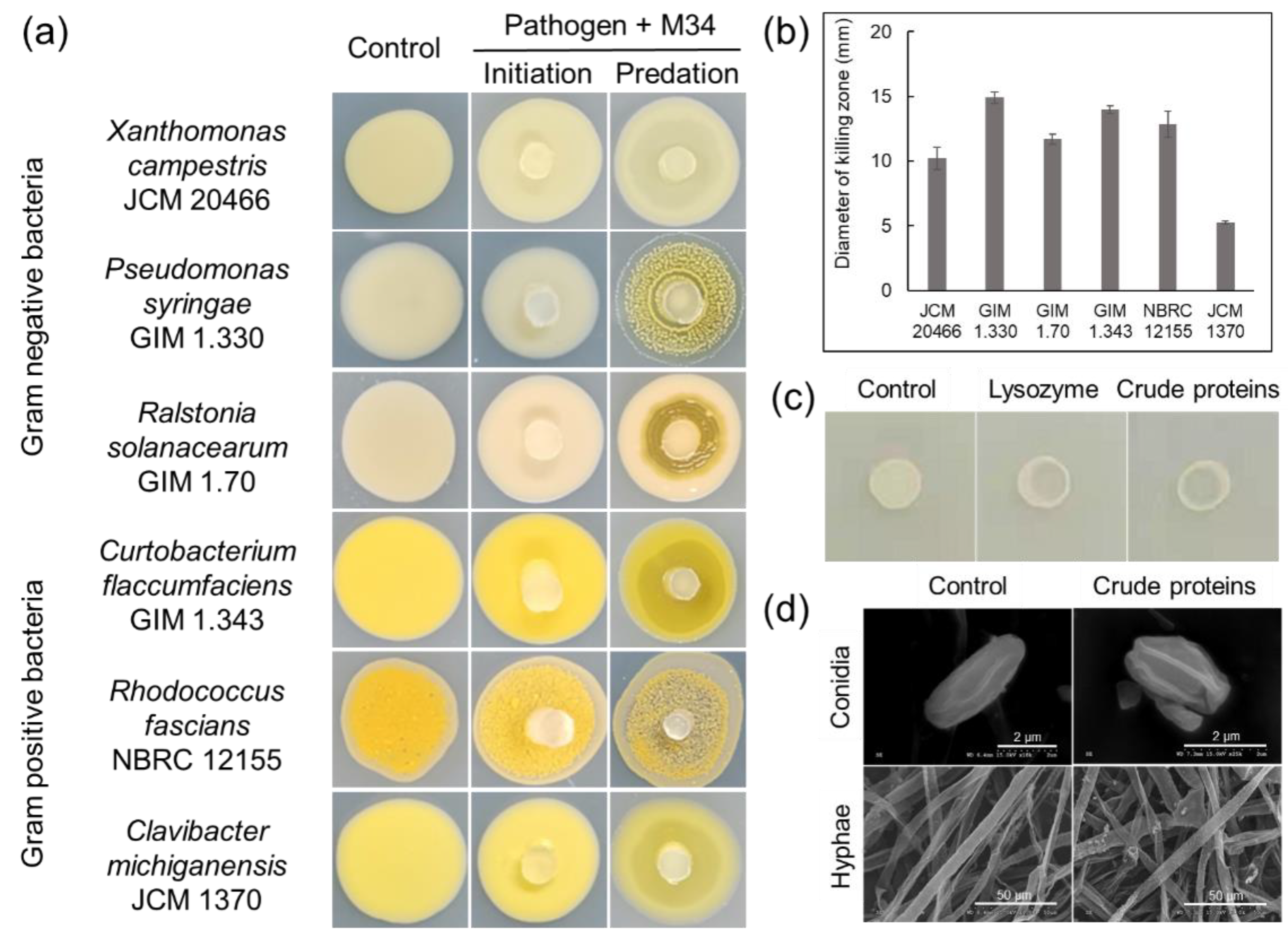 Microorganisms 09 02137 g006