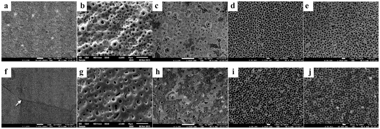 Microorganisms 09 02154 g001