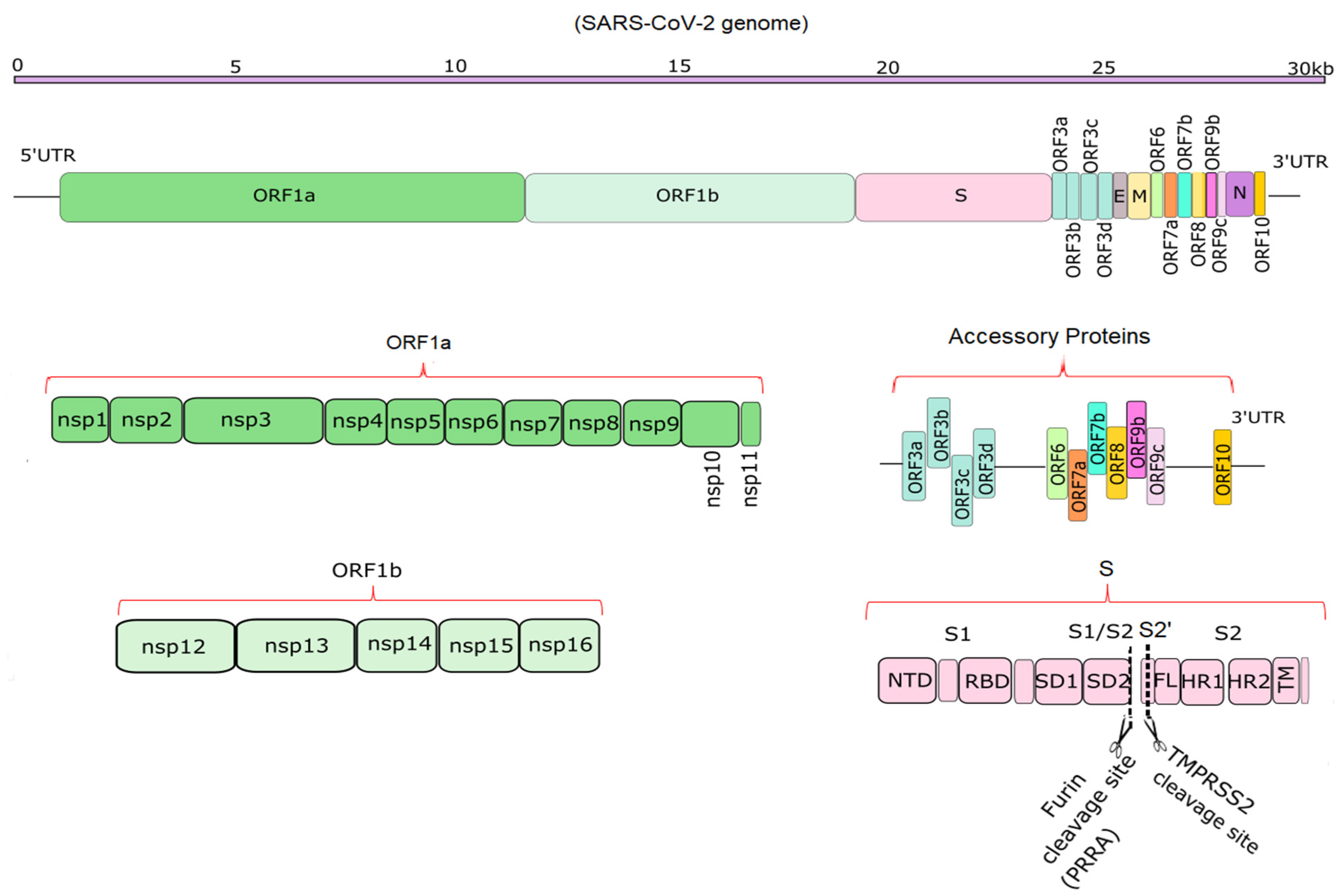 Microorganisms 09 02167 g001