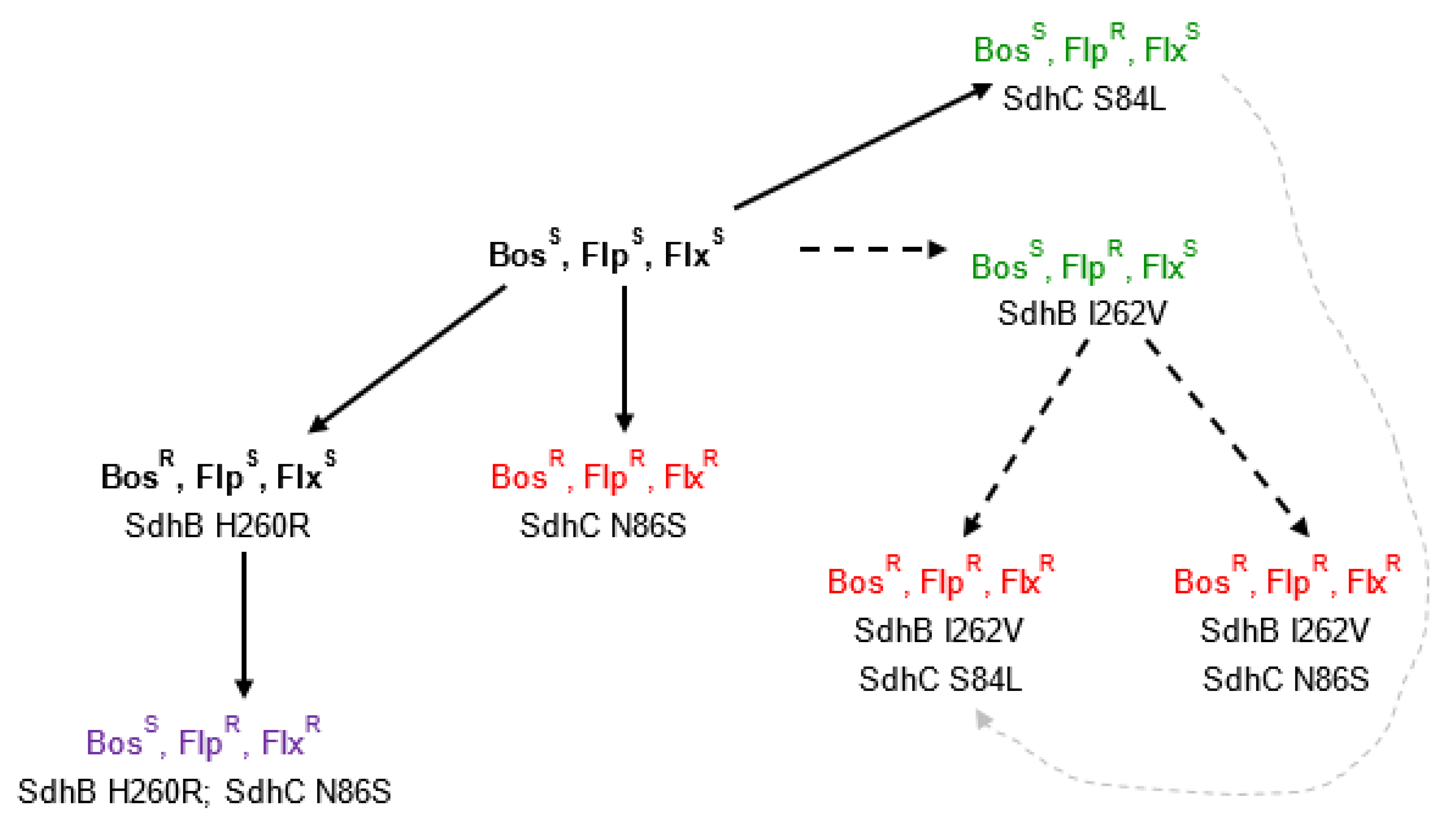 Microorganisms 09 02198 g002