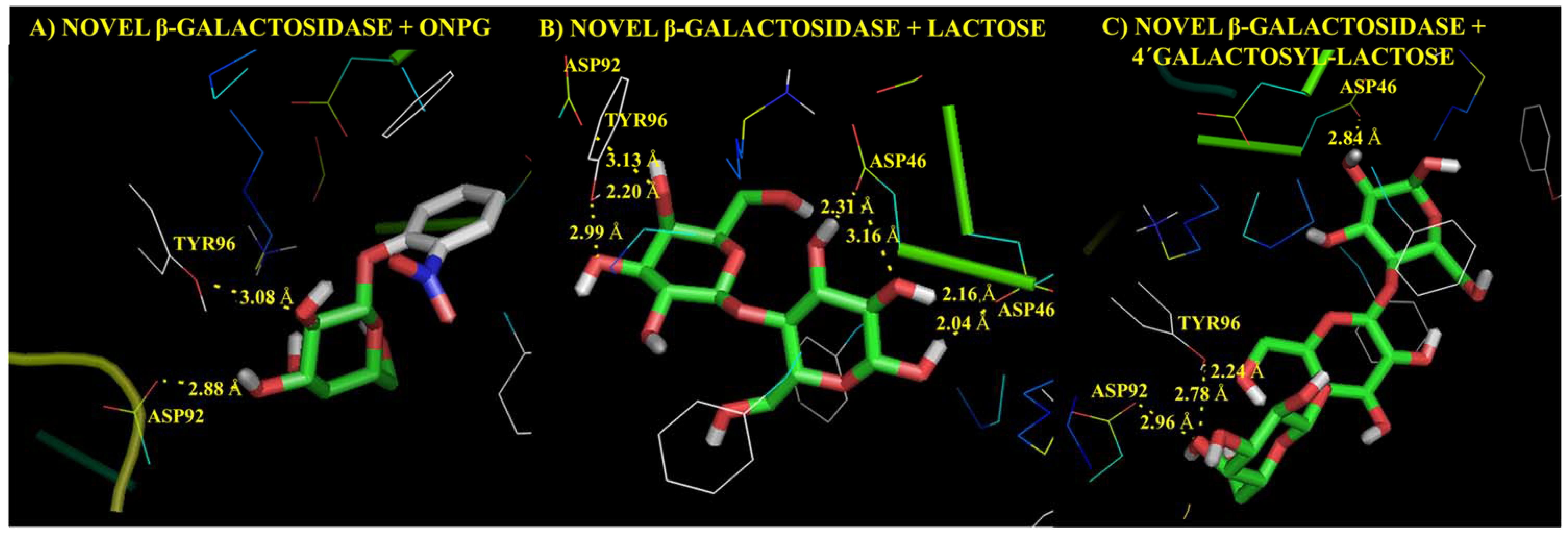 Unraveling the functional dark matter through global metagenomics