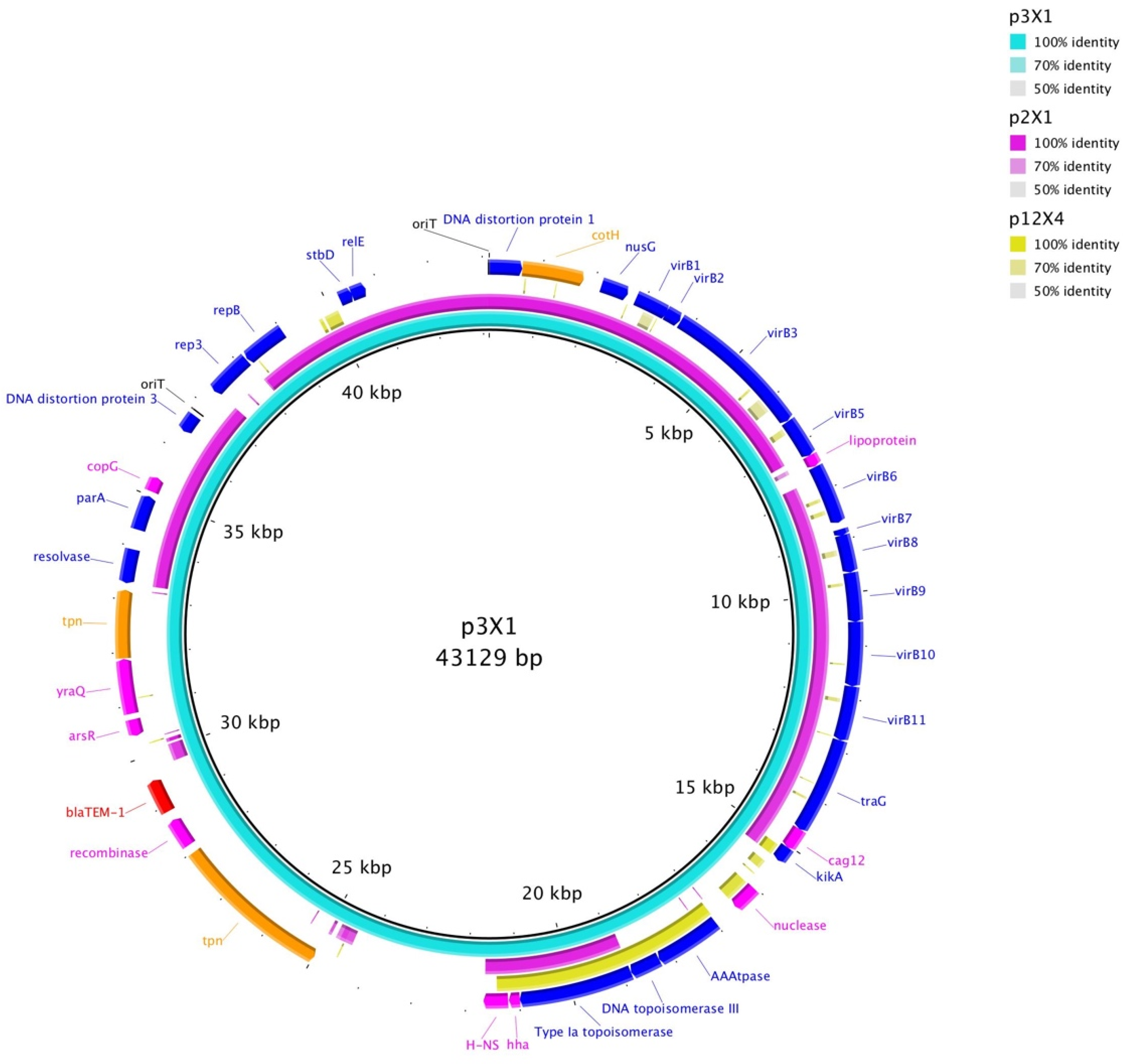 Microorganisms 09 02205 g001