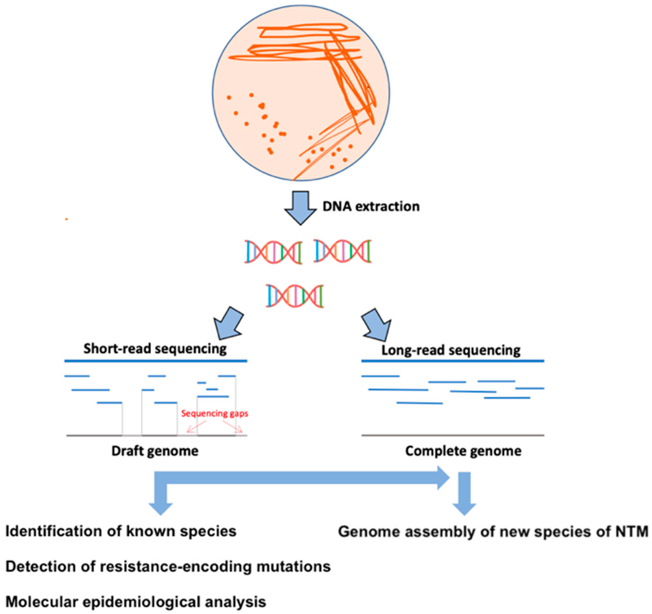 Microorganisms | Free Full-Text | Whole Genome Sequencing in the Management  of Non-Tuberculous Mycobacterial Infections | HTML
