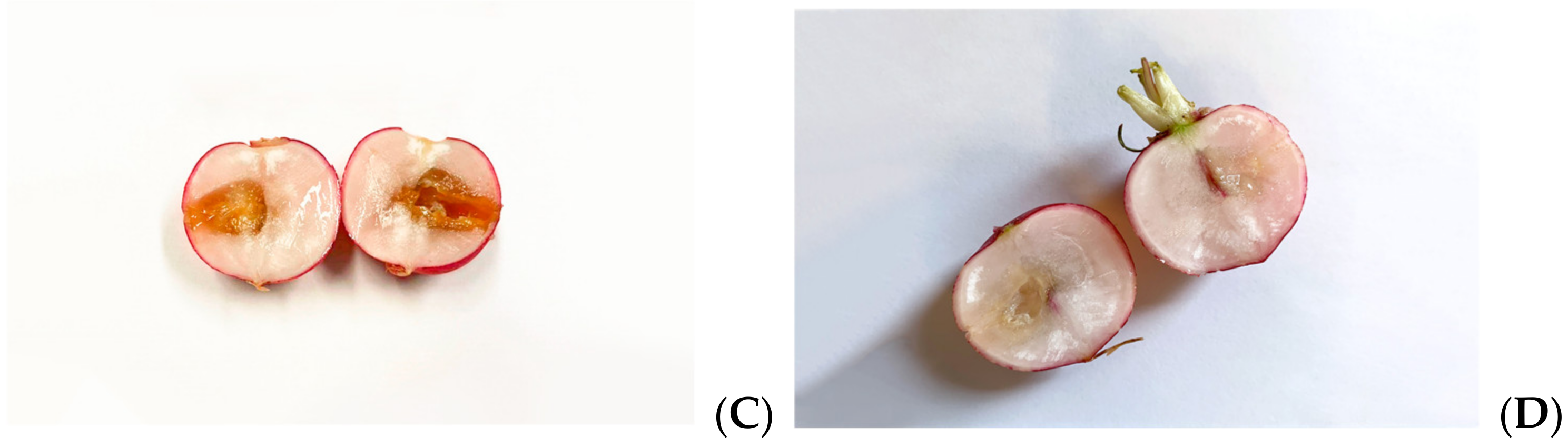 Microorganisms 09 02244 g005b