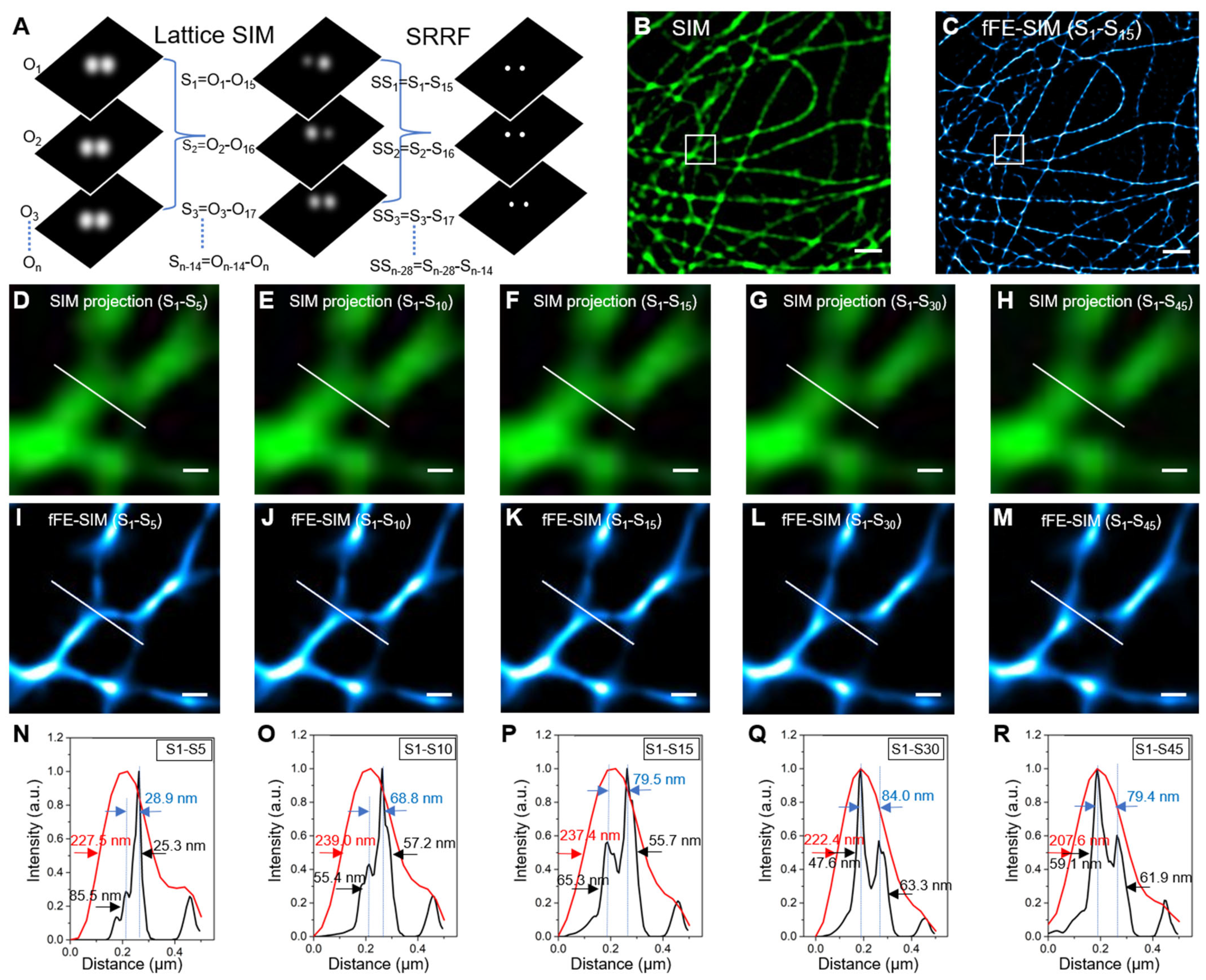 Microorganisms 09 02255 g001