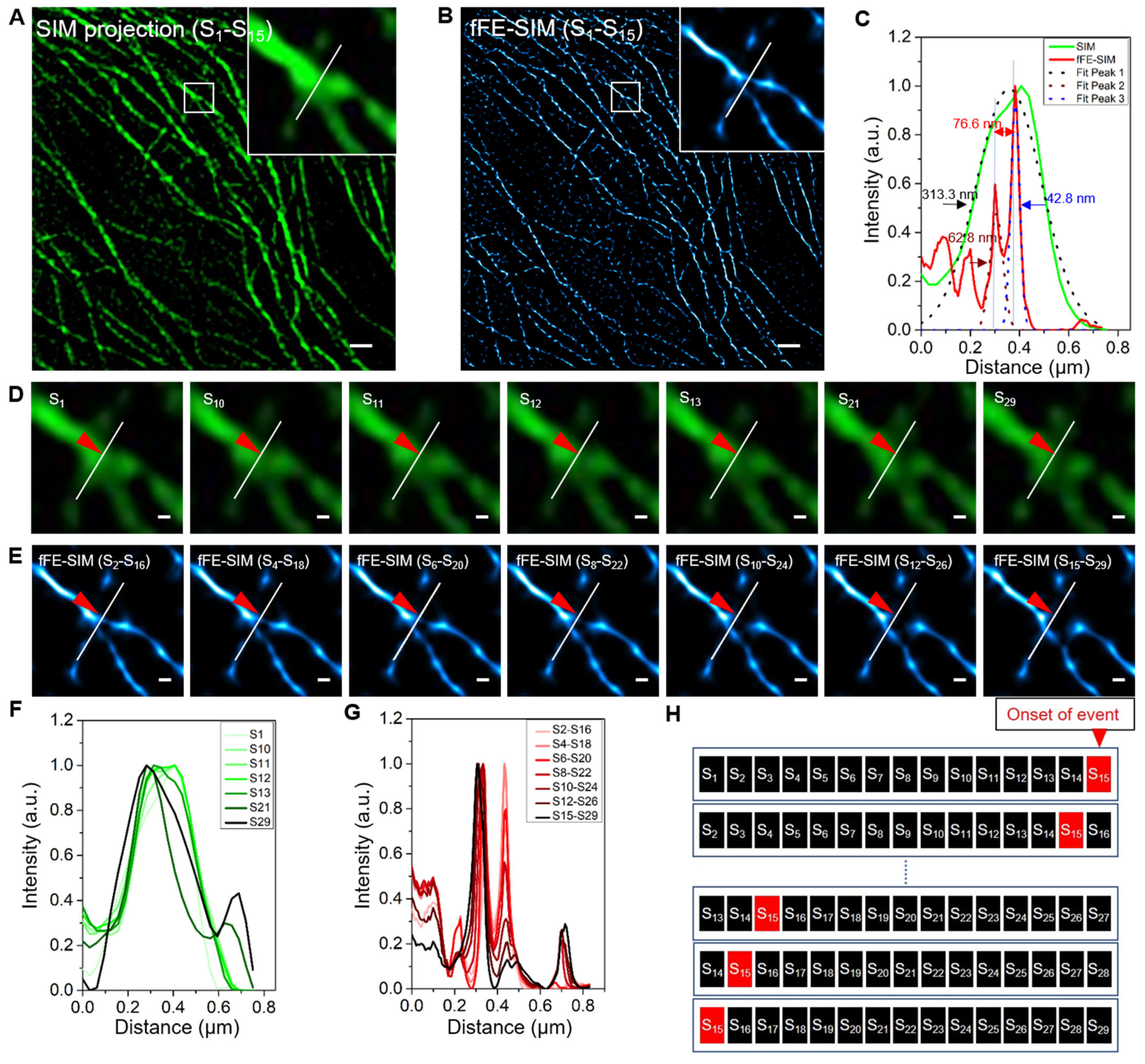 Microorganisms 09 02255 g002