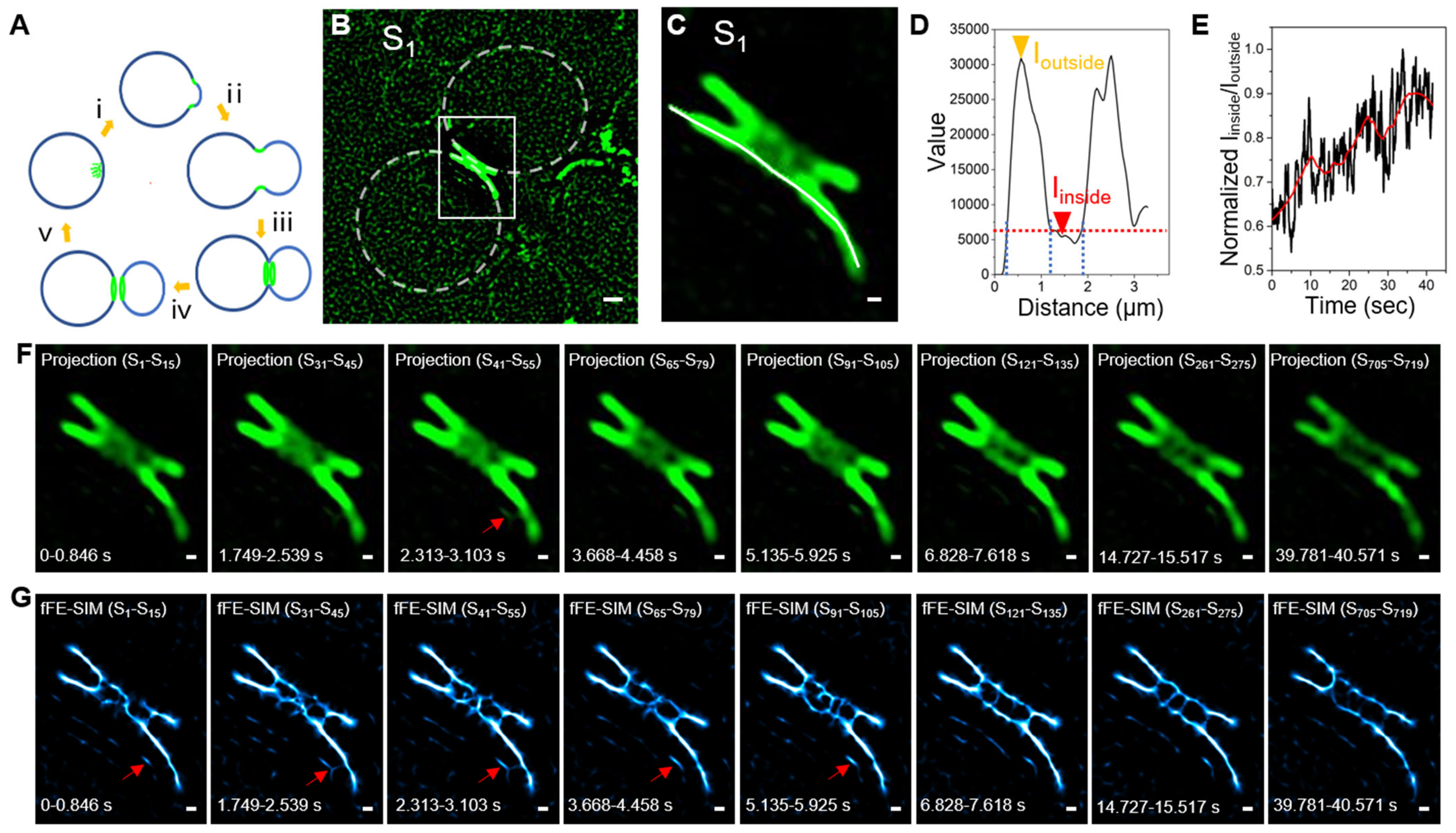 Microorganisms 09 02255 g003