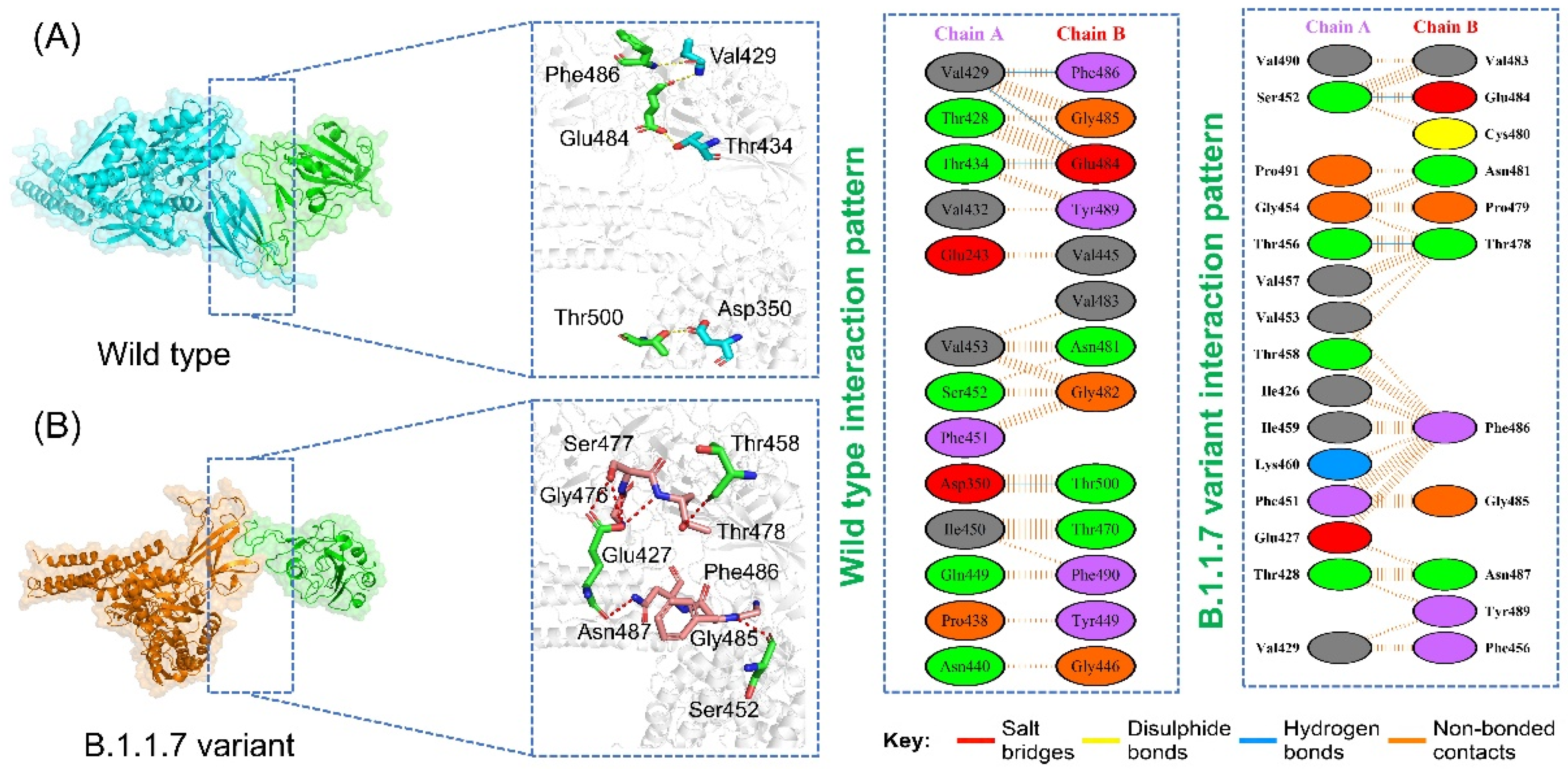Microorganisms 09 02331 g002
