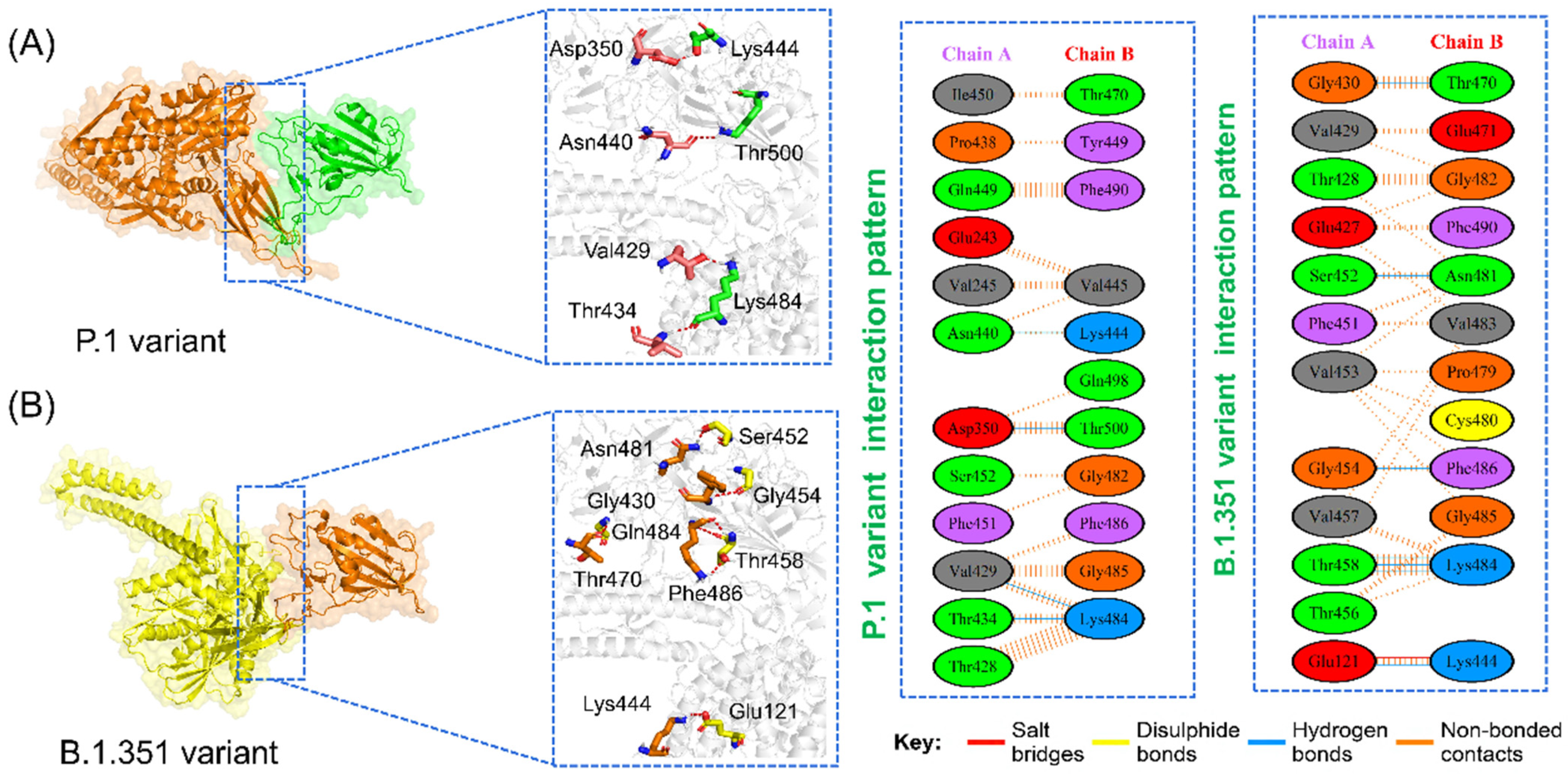 Microorganisms 09 02331 g003