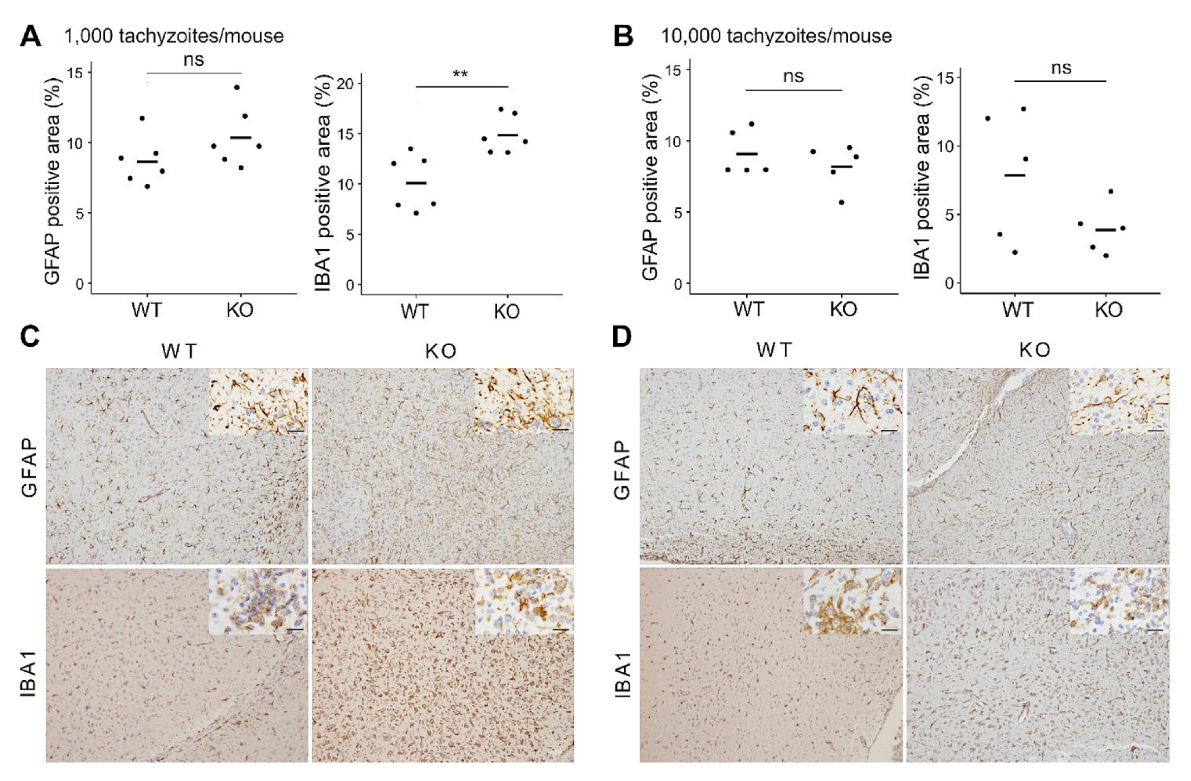Microorganisms 09 02340 g002 Microorganisms 09 02340 g002