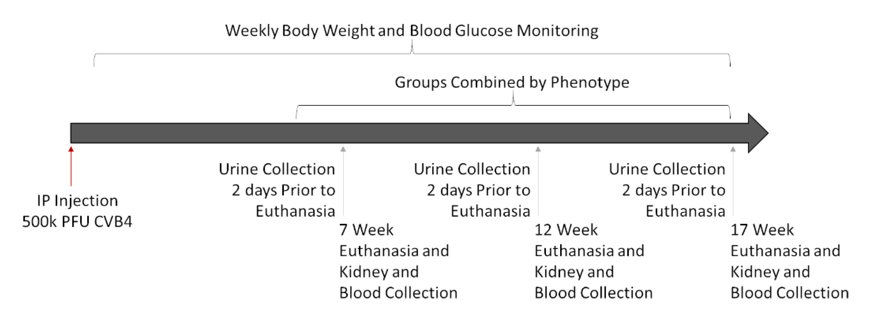 Microorganisms 09 02357 g001 Microorganisms 09 02357 g001